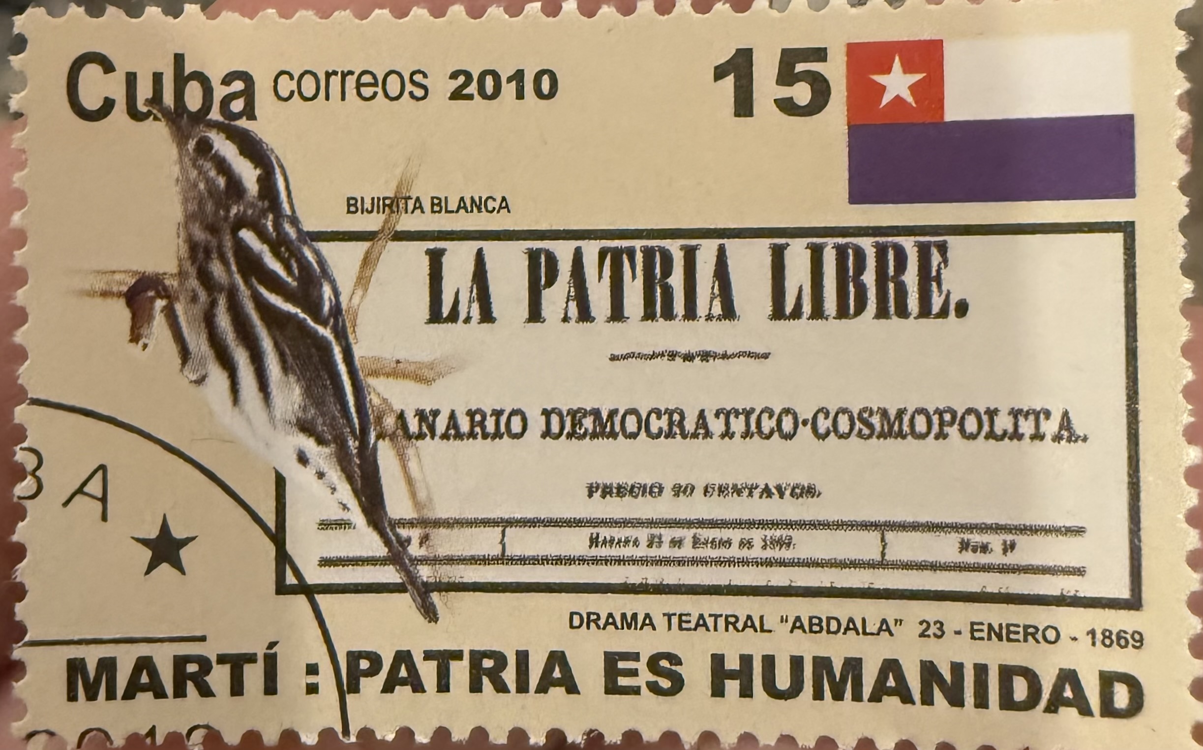 Black and White Warbler