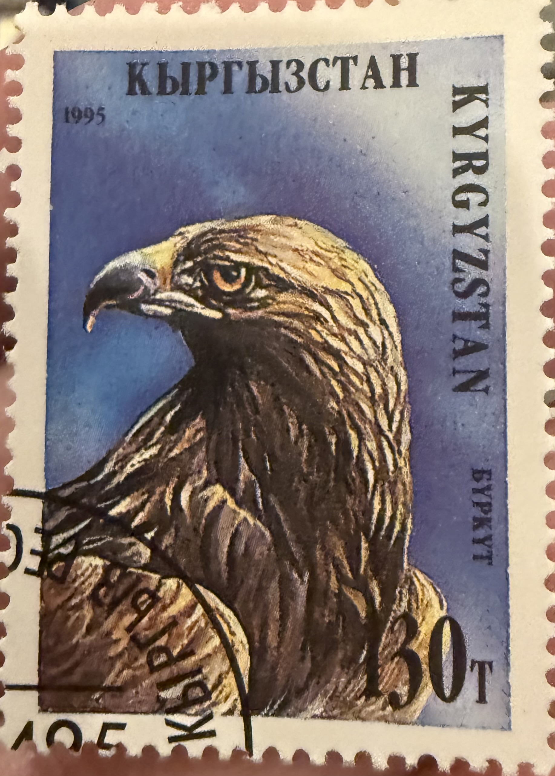 Golden Eagle - K