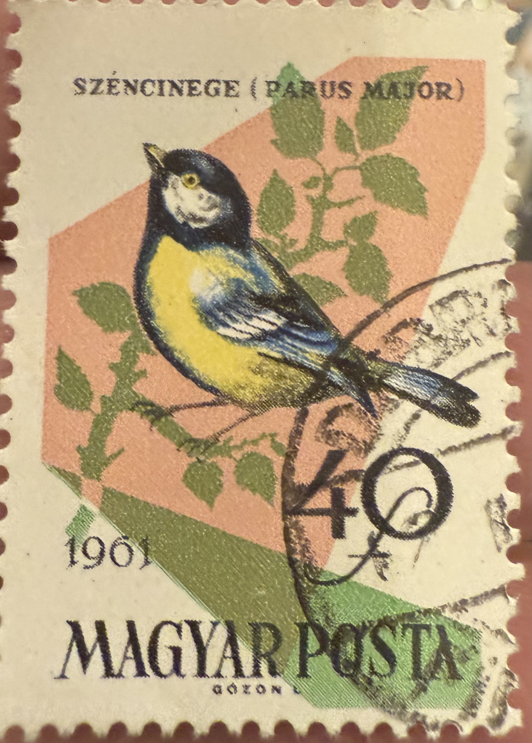 Great Tit