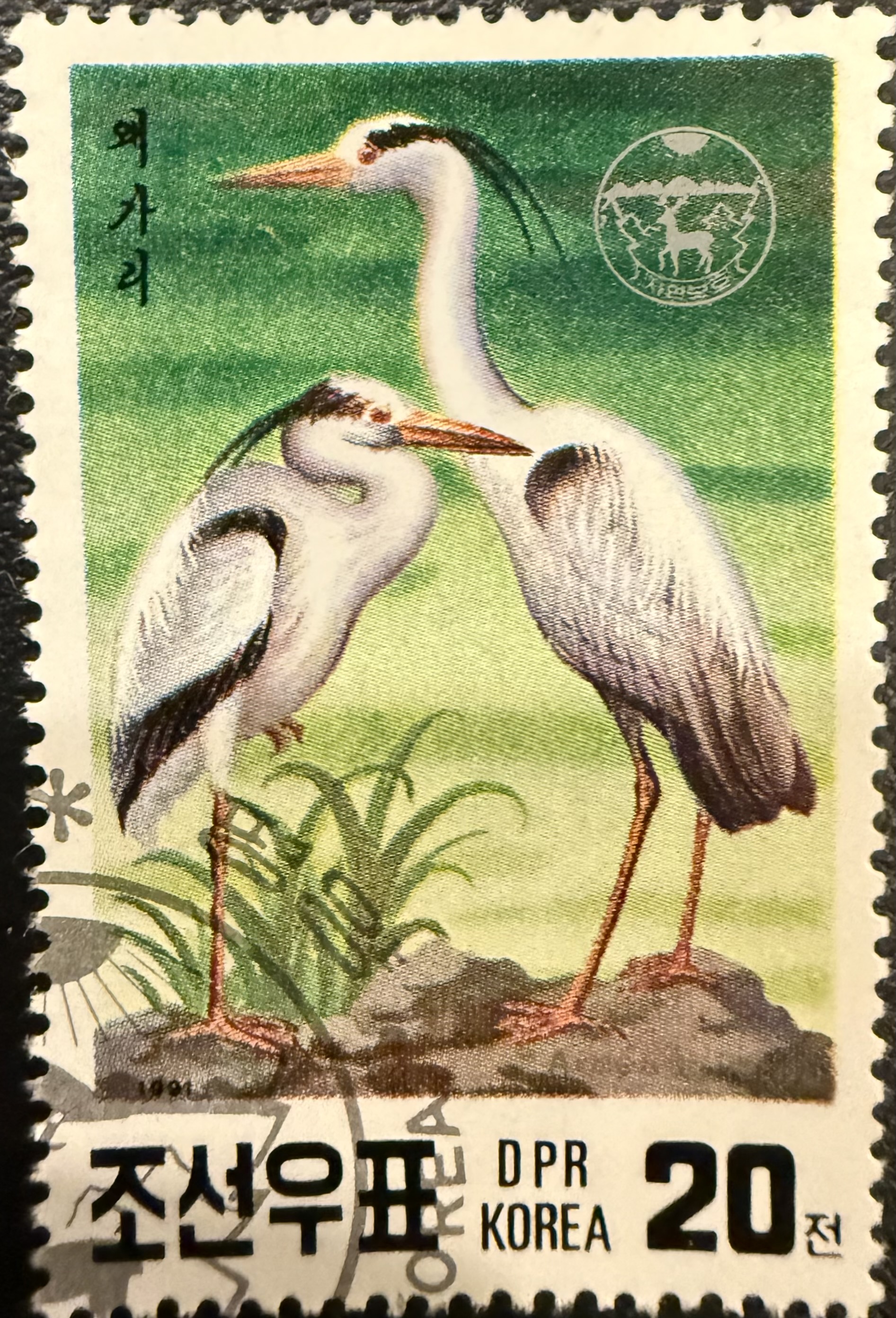 Grey Herons