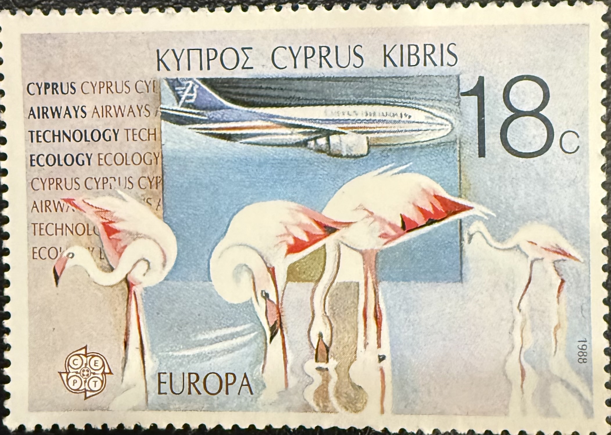 Cyprus Flamingos