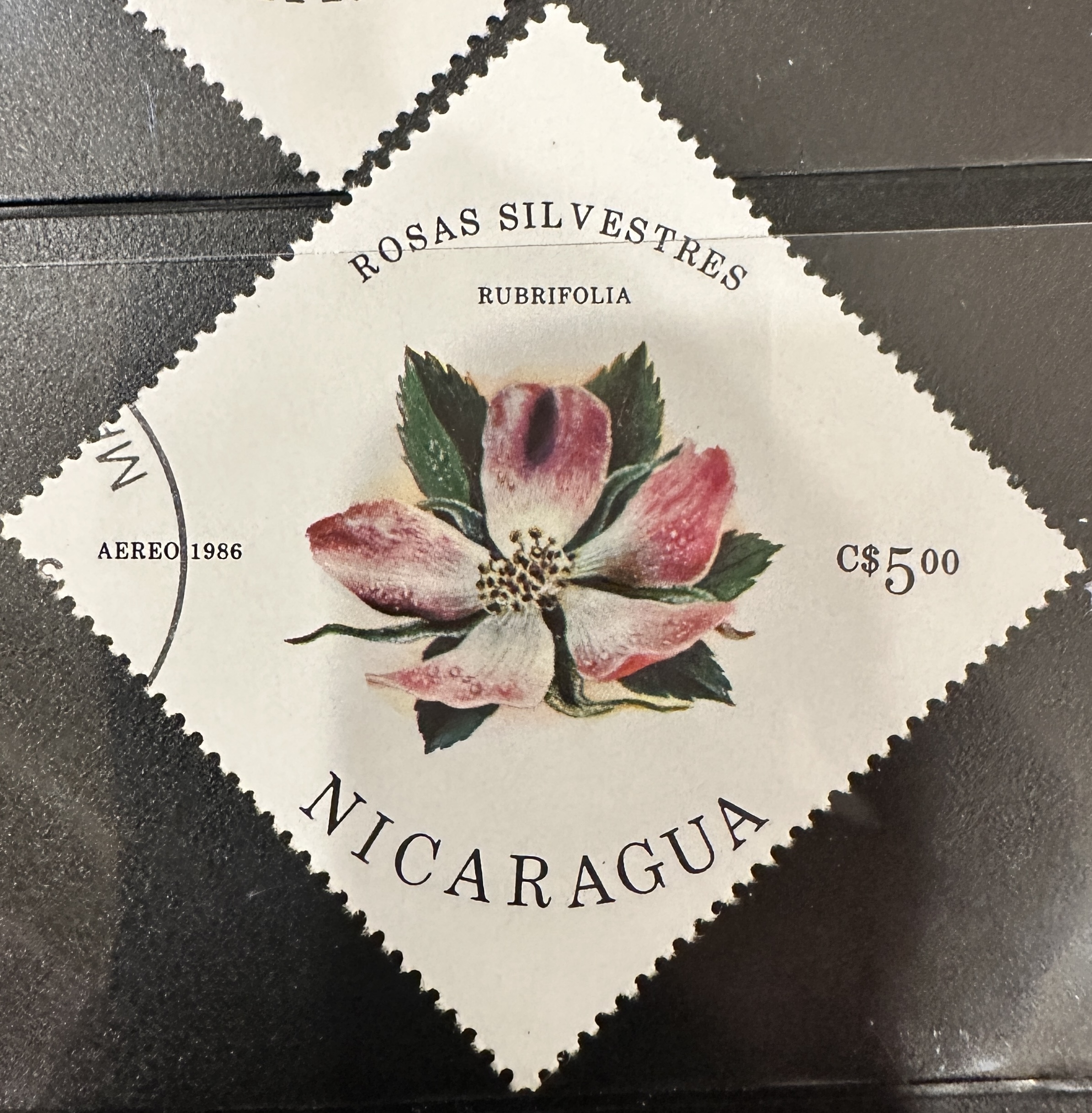 Nicaragua Diamond 31 (1986)