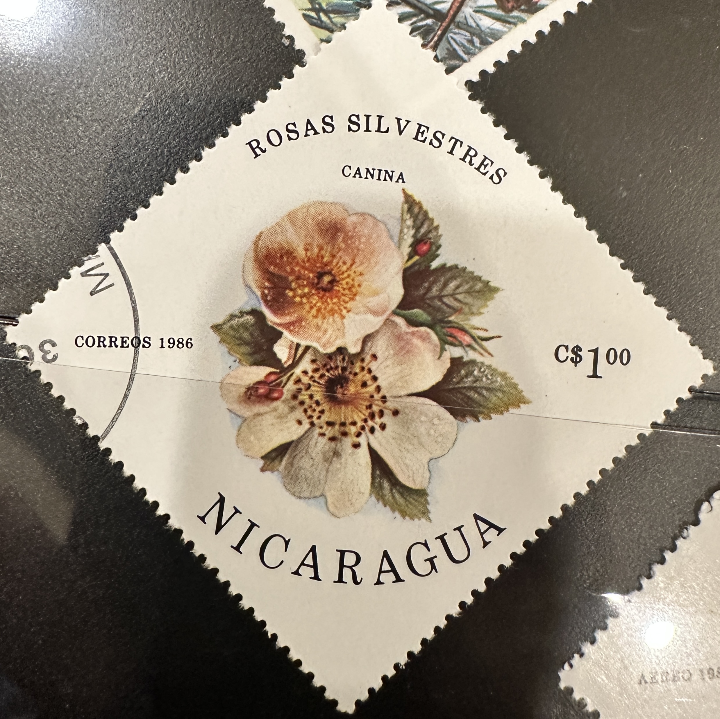 Nicaragua Diamond 29 (1986)