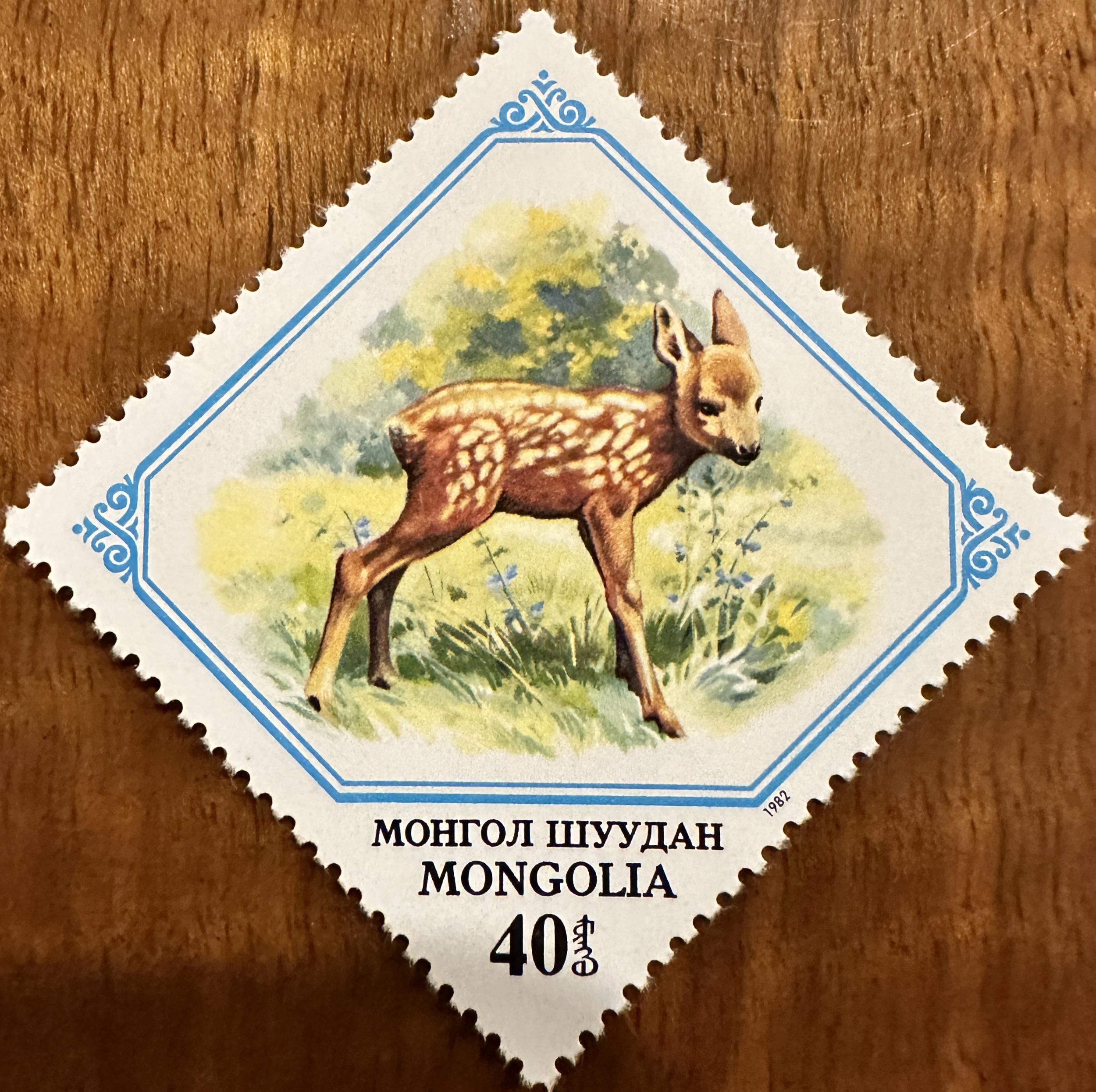 Mongolia Diamond 14