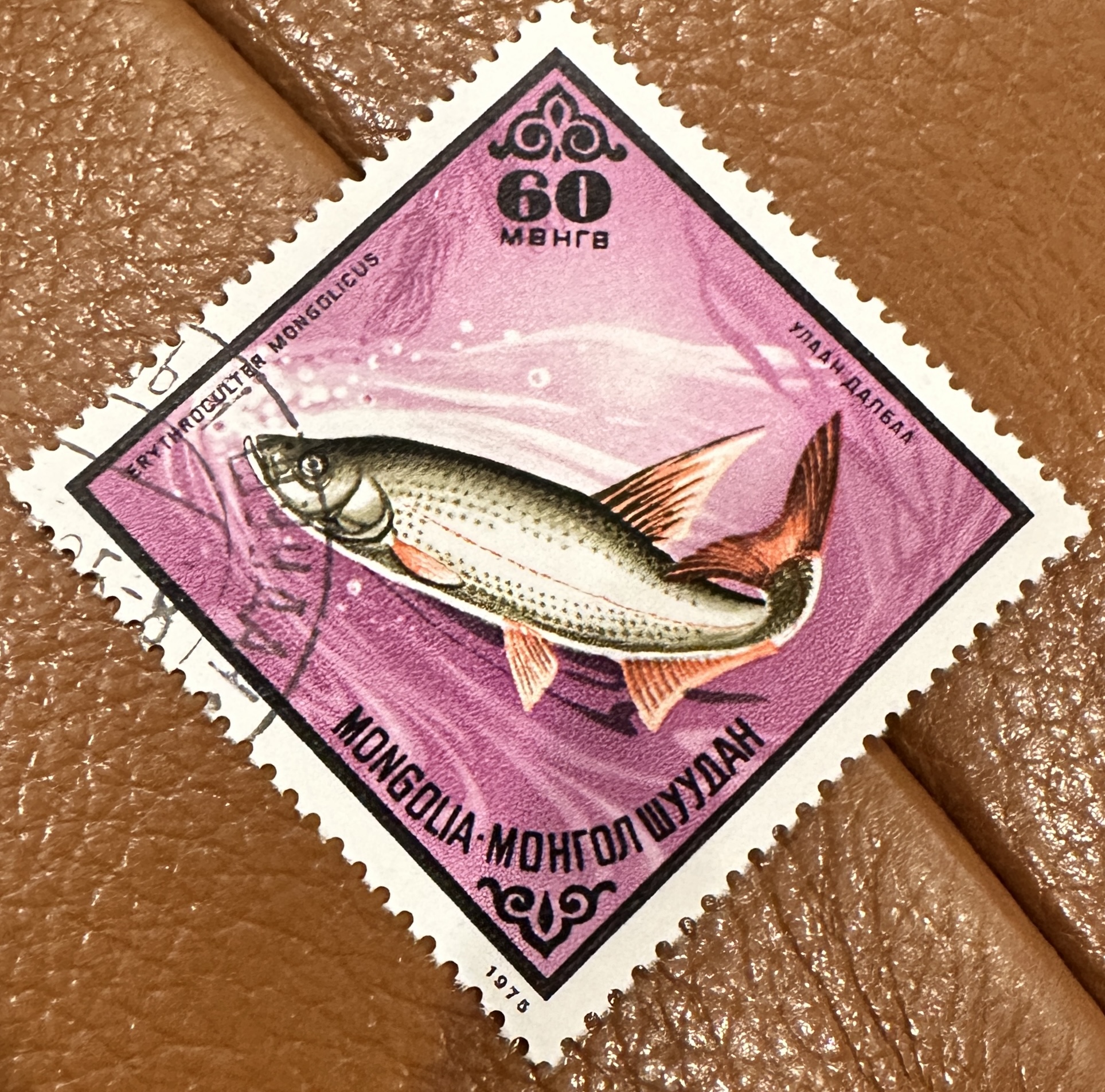 Mongolia Fish Diamond 3