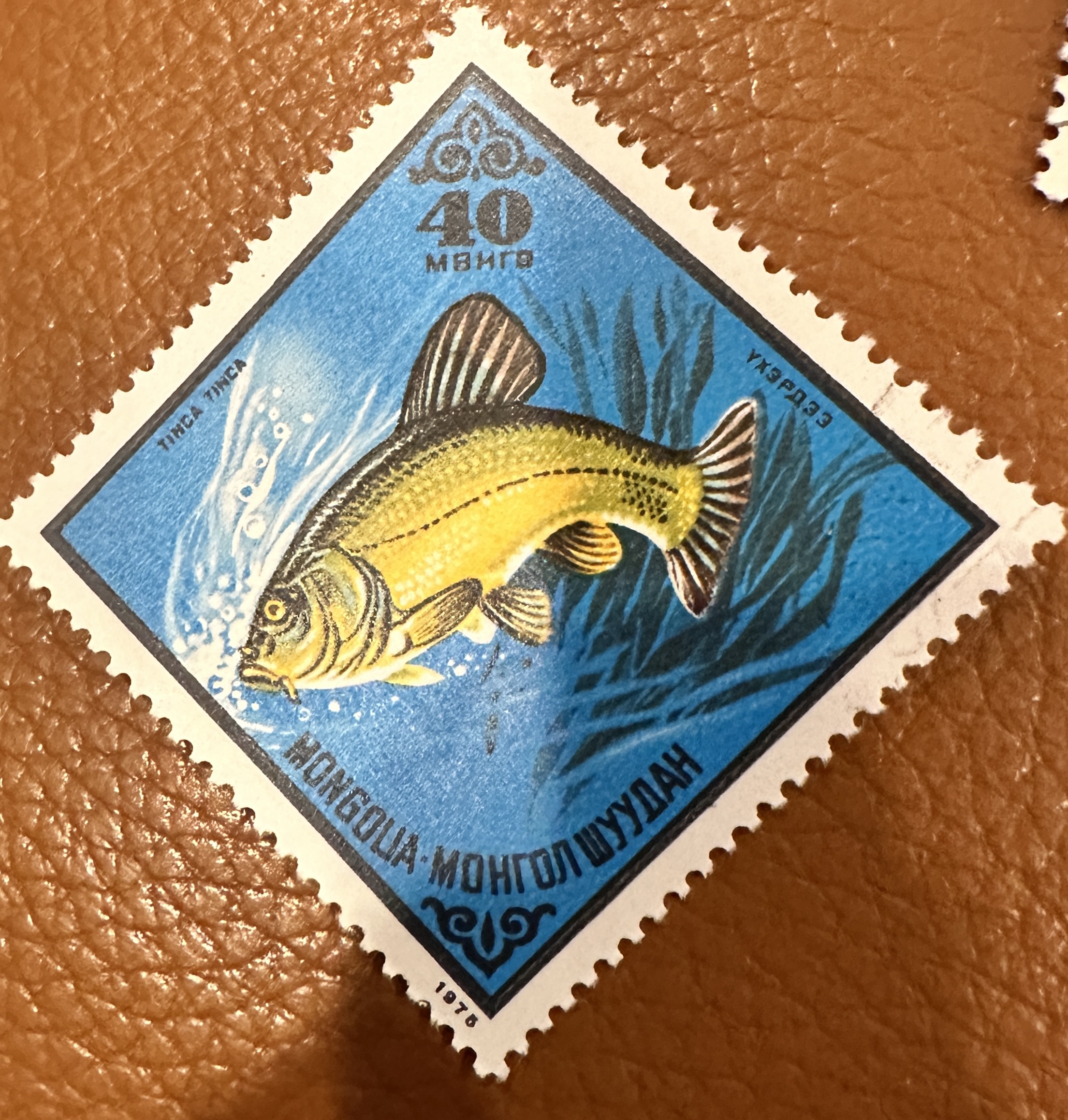 Mongolia Fish Diamond 4