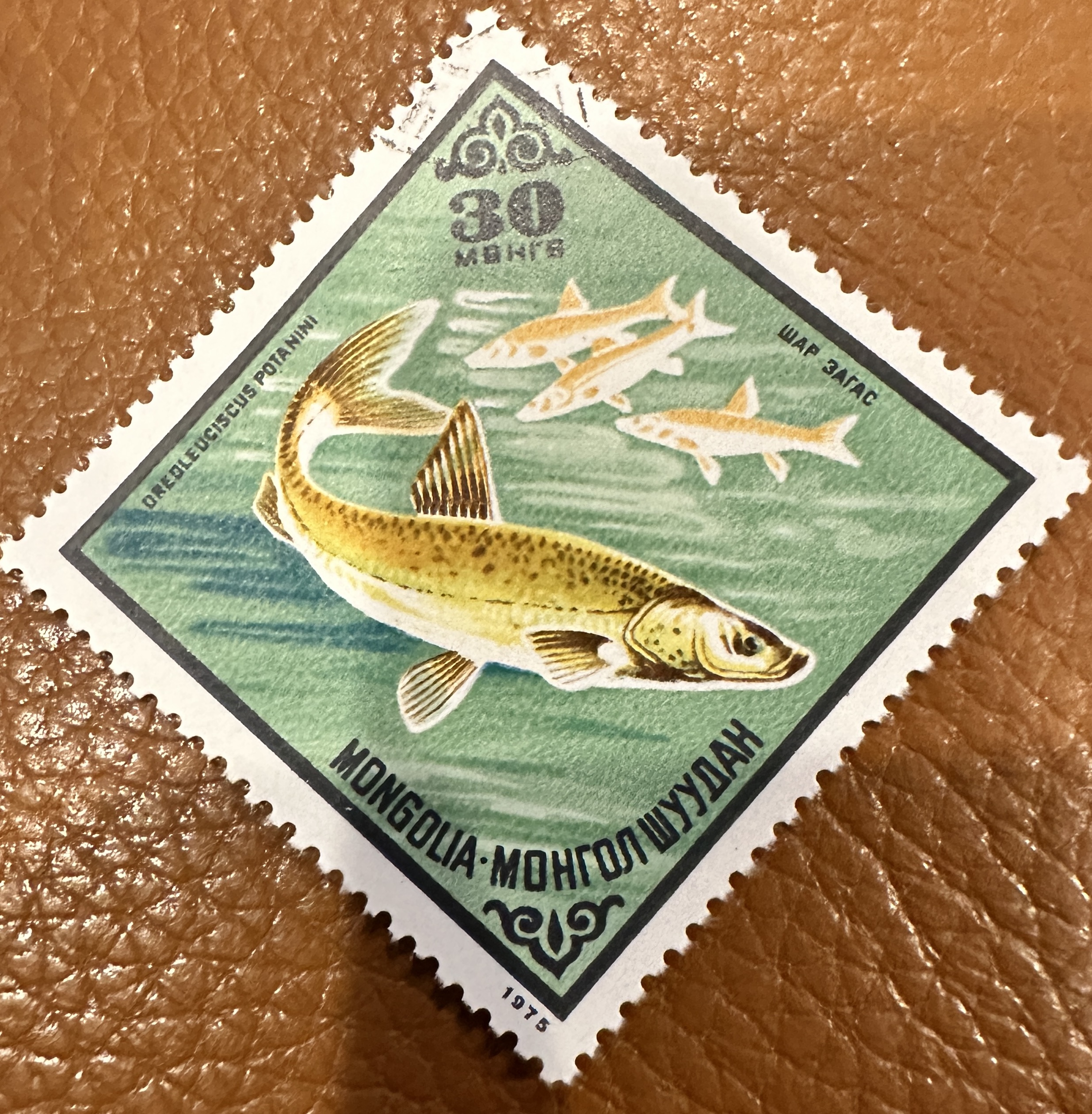 Mongolia Fish Diamond 7