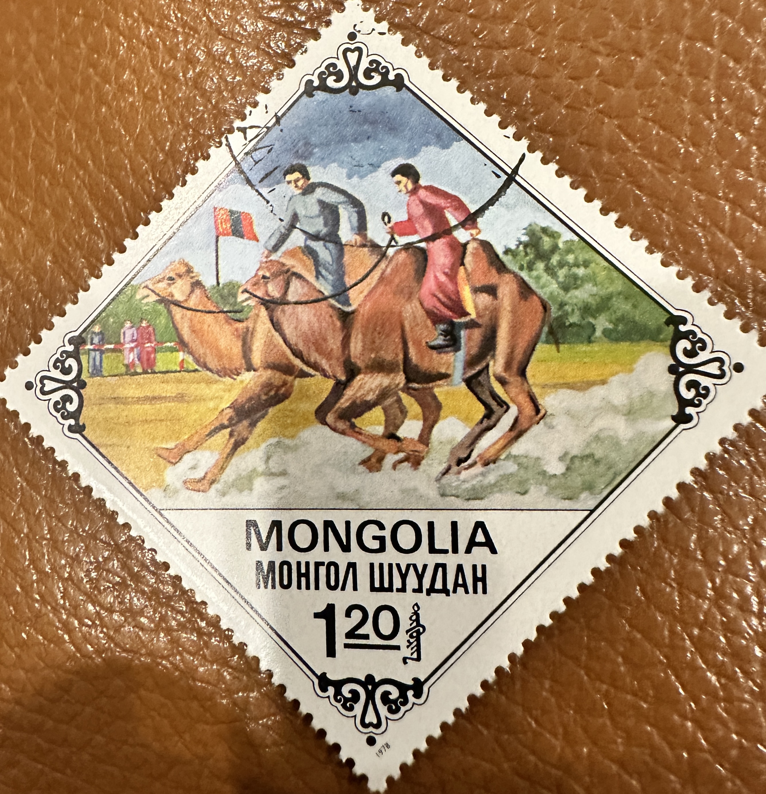 Mongolia Camels 1