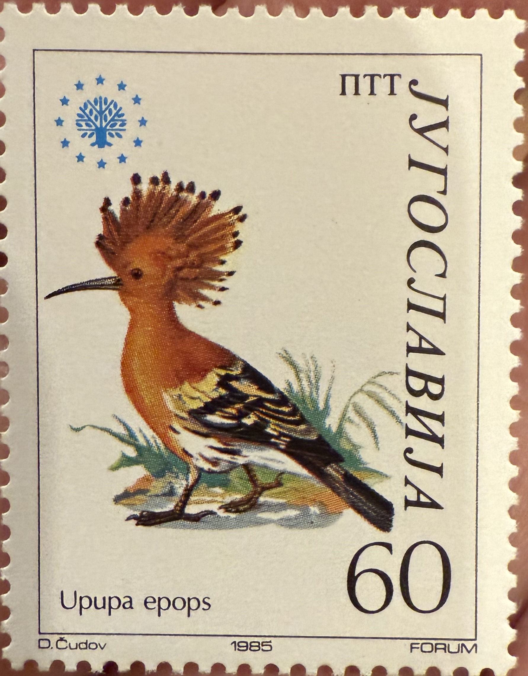 Hoopoe Yugo