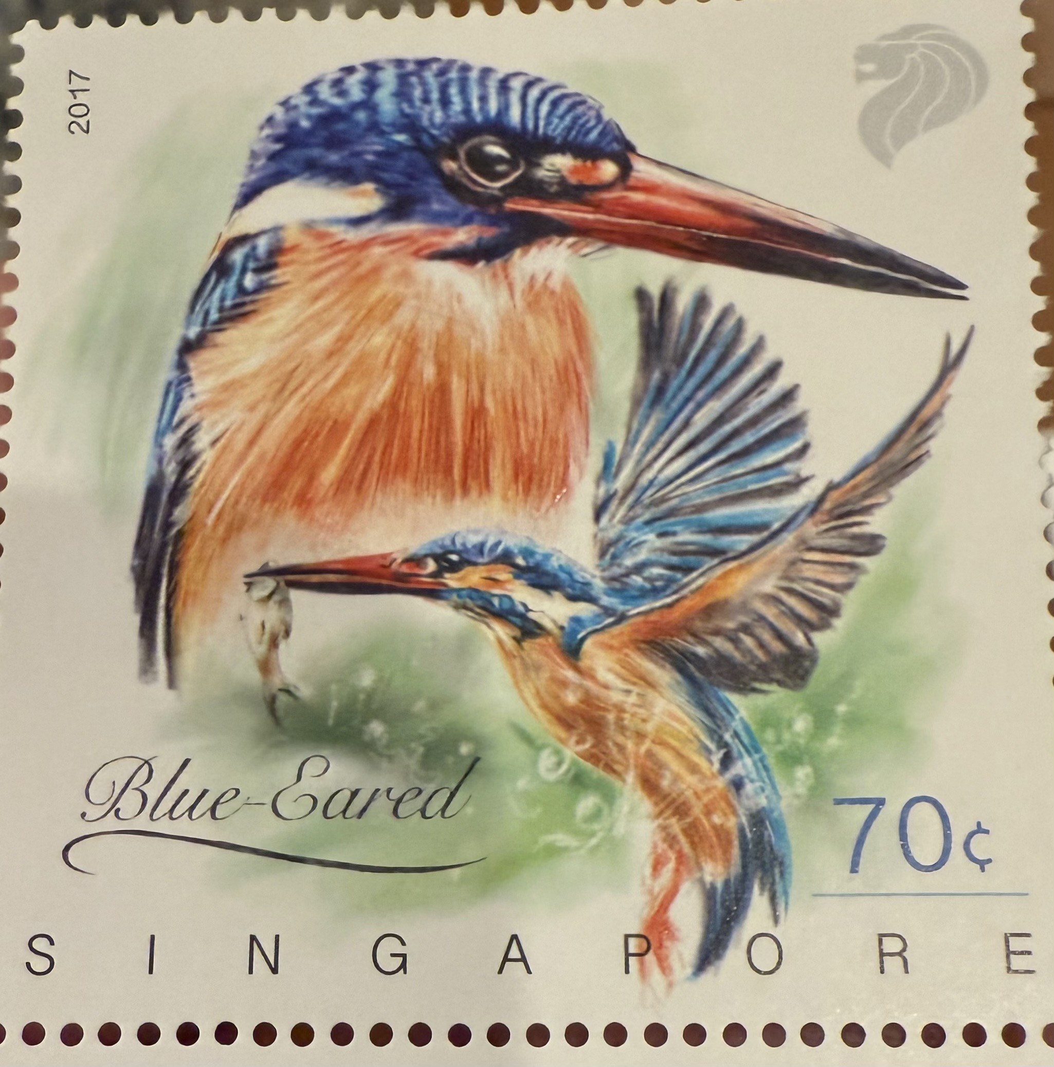 Blue Eared Kingfisher