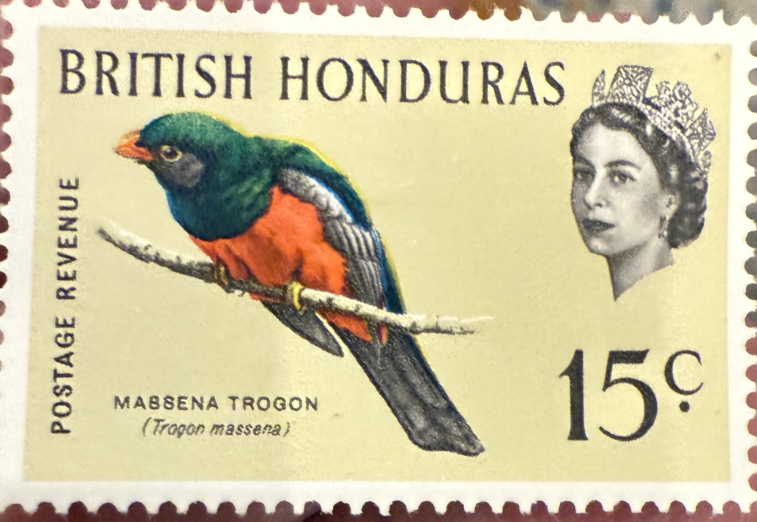 Massena Trogon