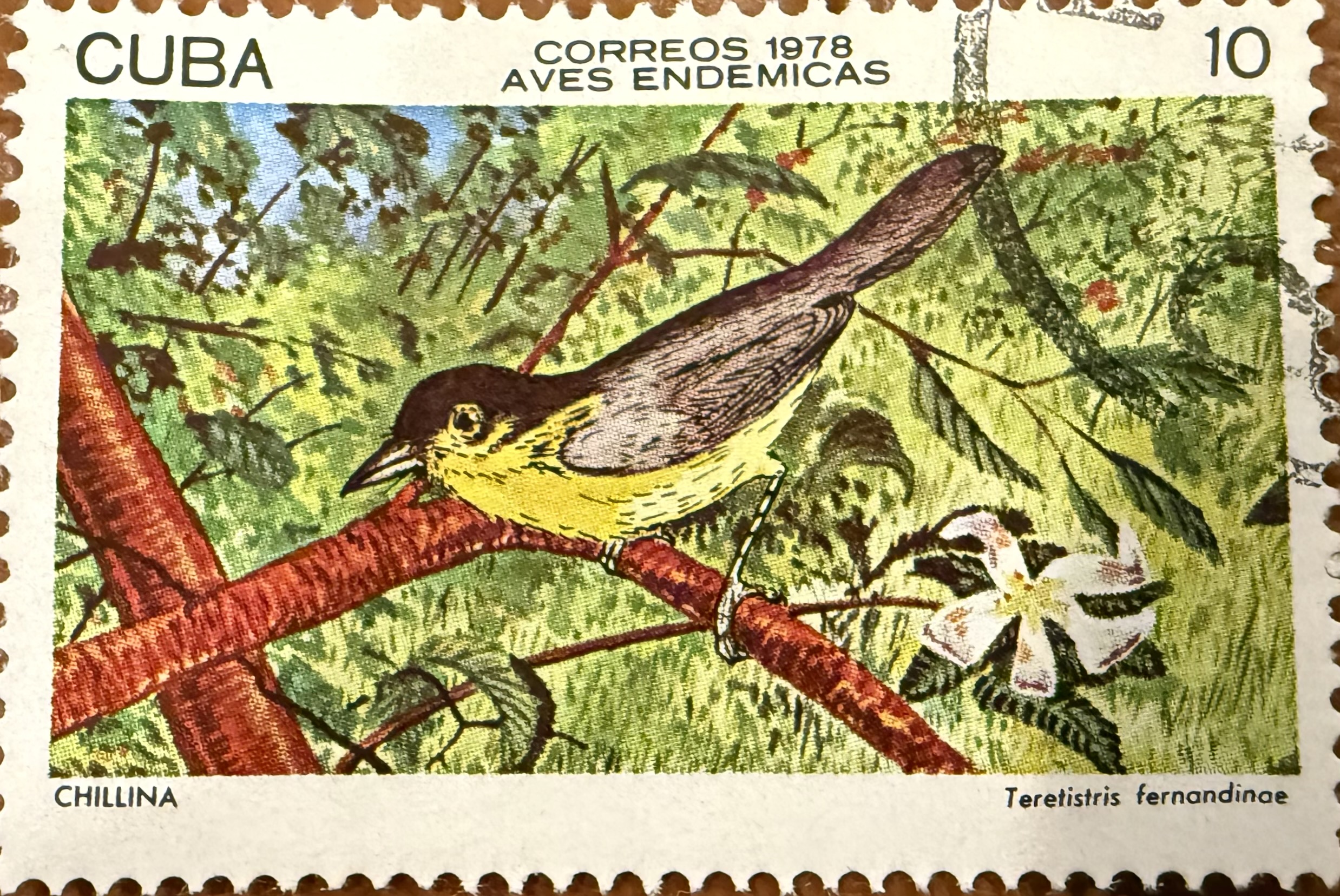 Yellow Headed Warbler