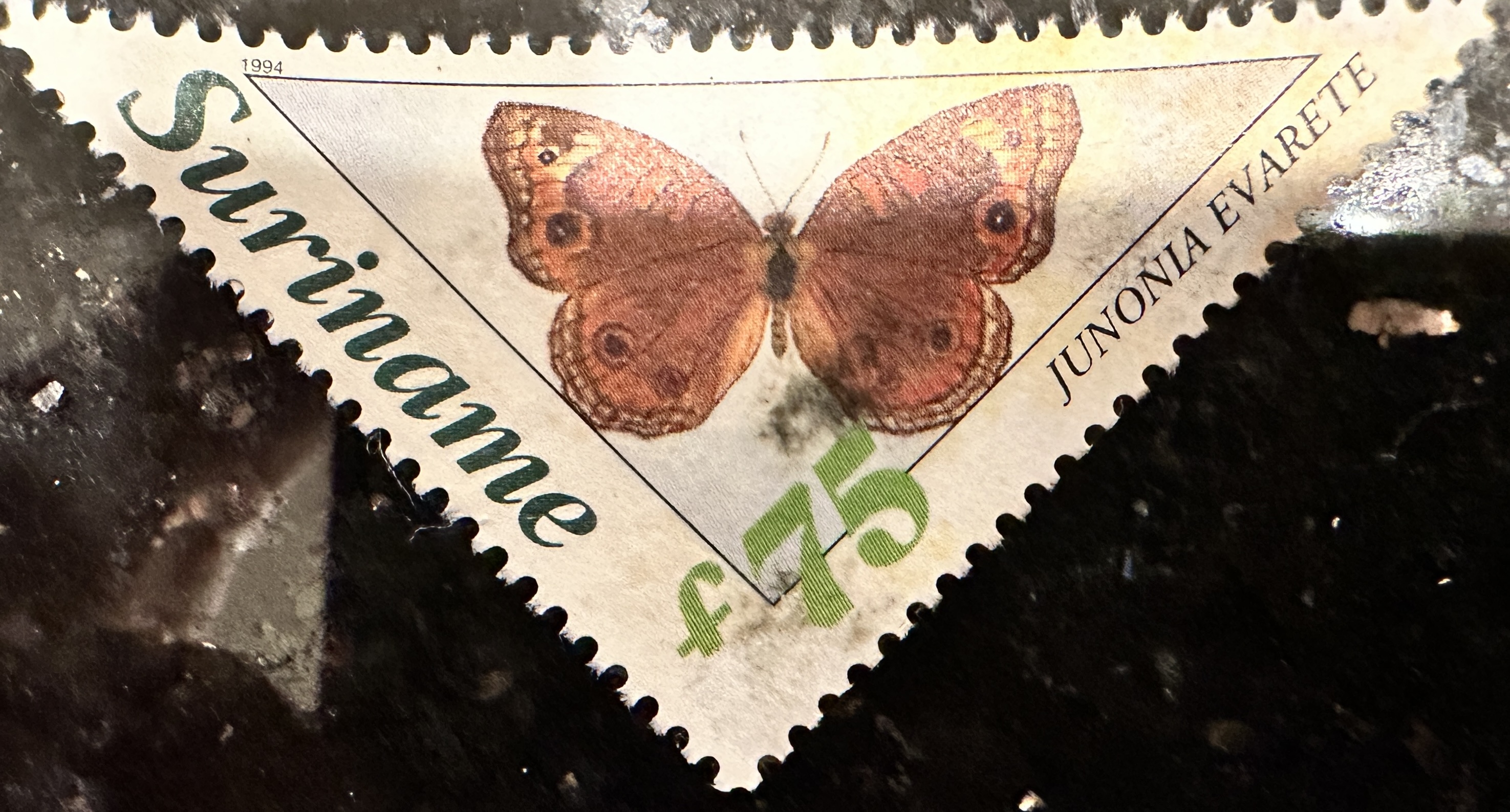 Butterfly 75 Franc