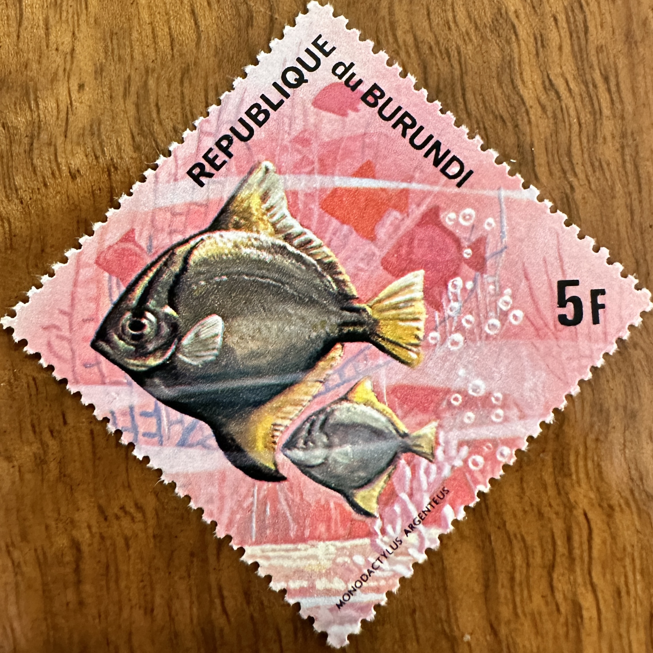 Burundi Diamond Fish 12