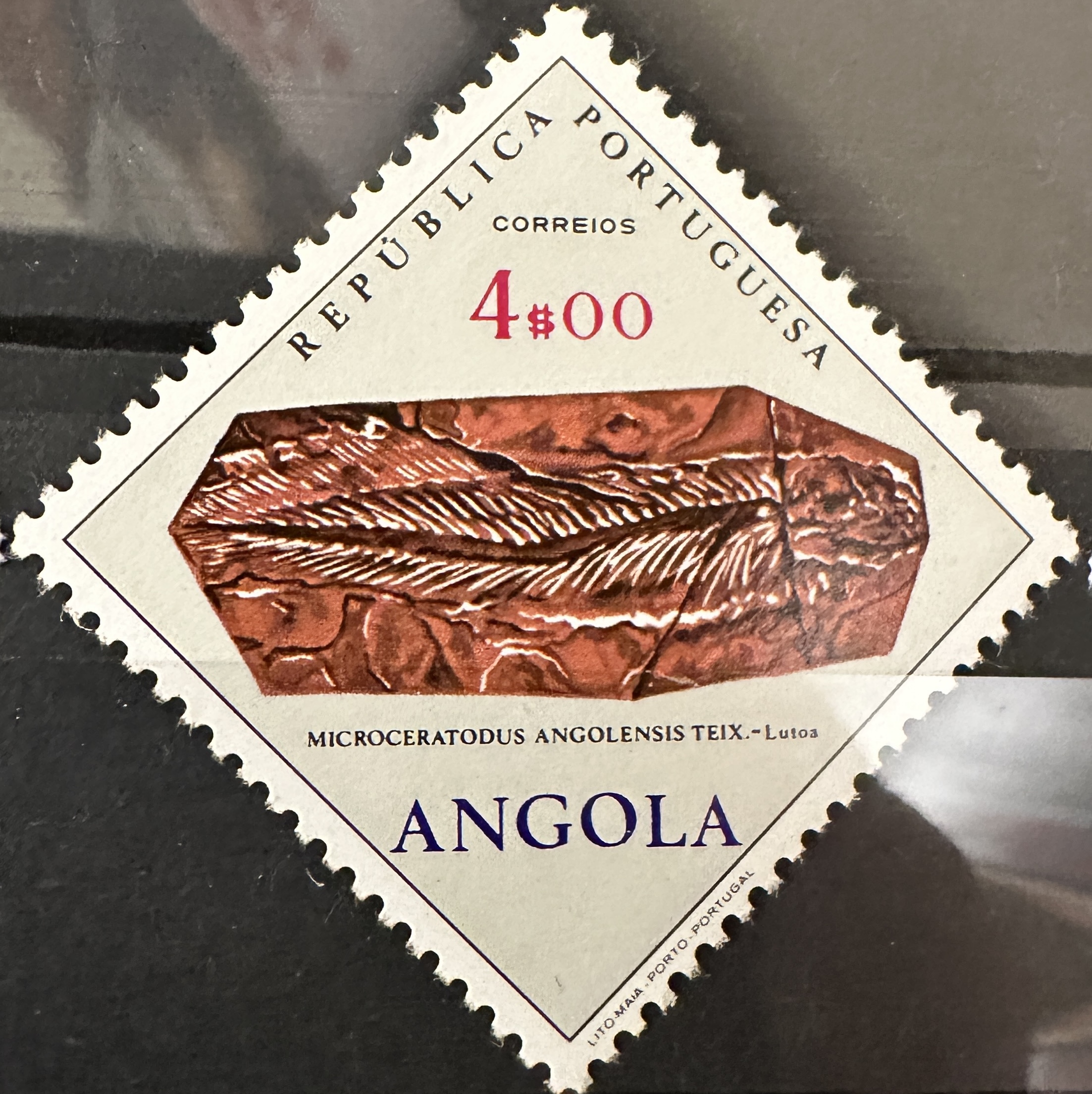 Angola Mineral 5