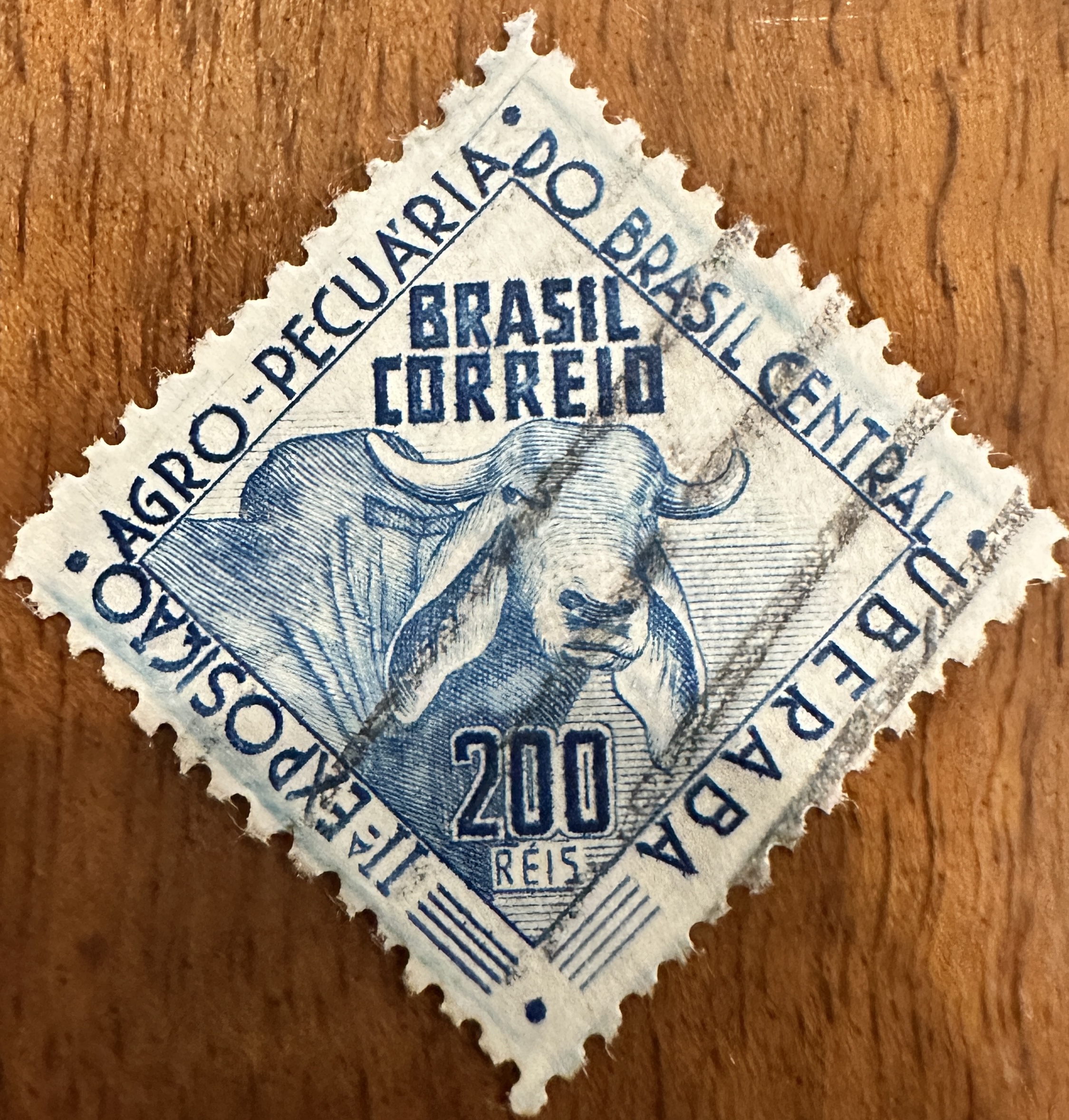 Brazil Cattle 200