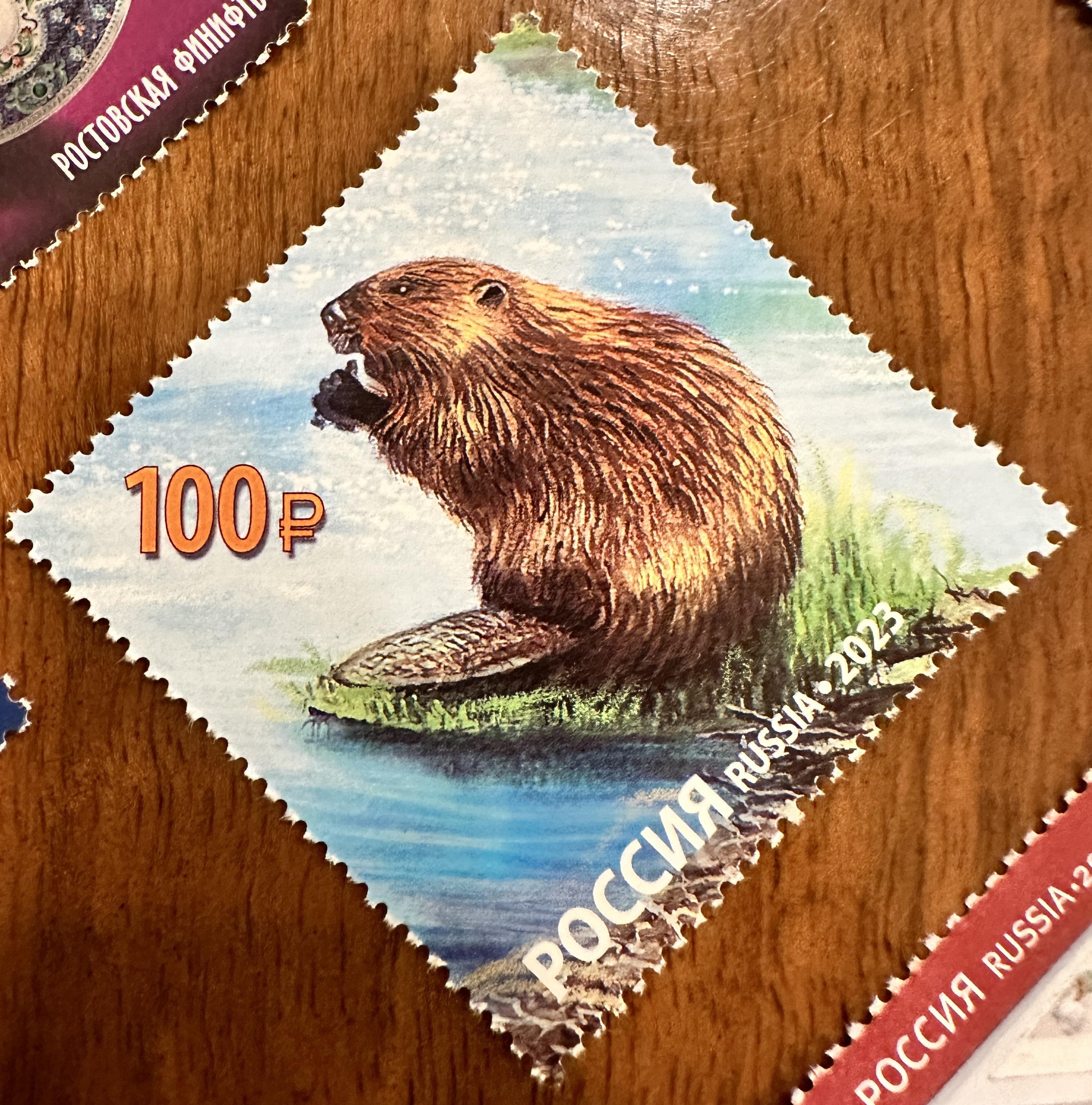 Russian Beaver