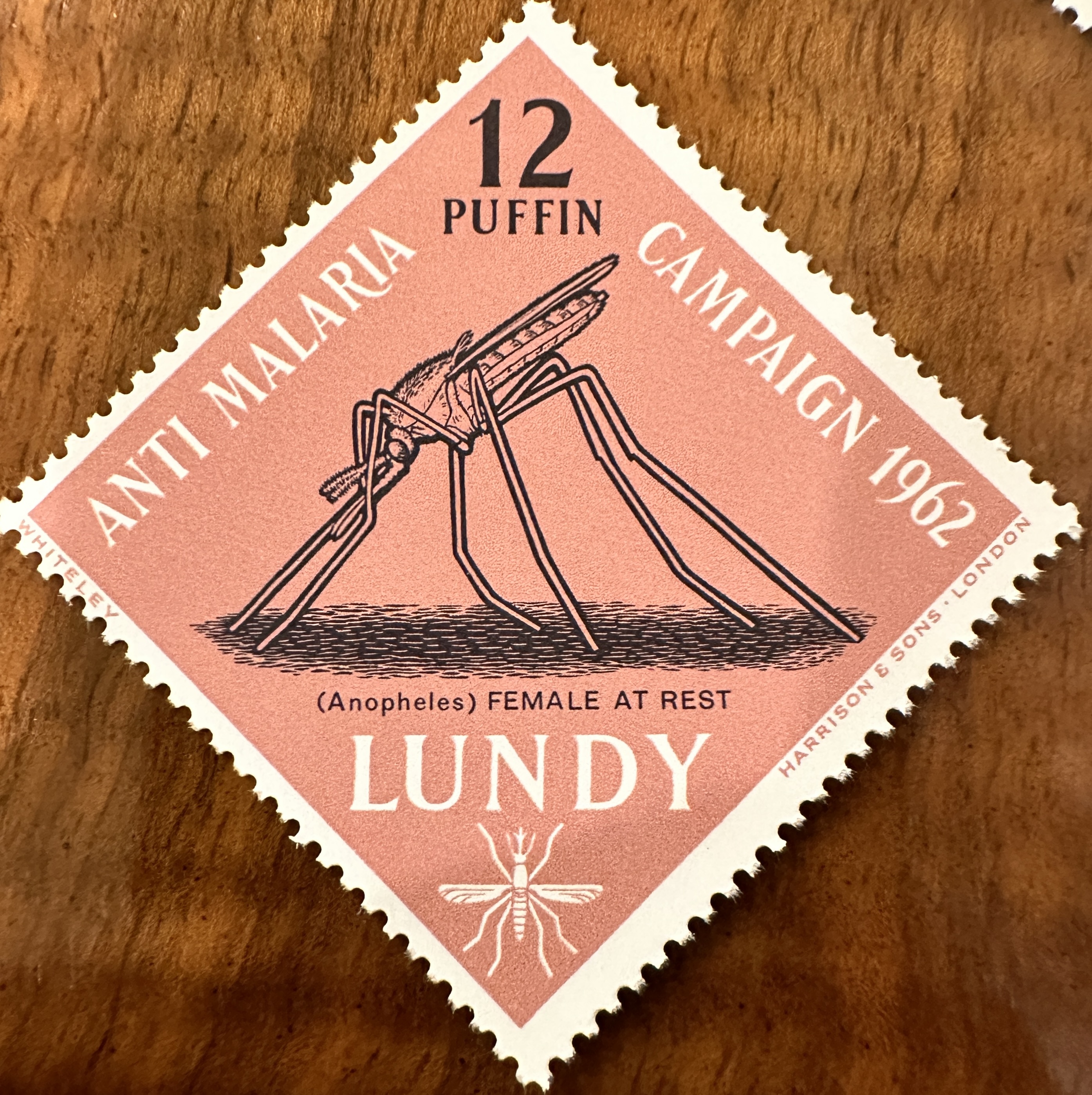 Lundy 1962 Diamond 5