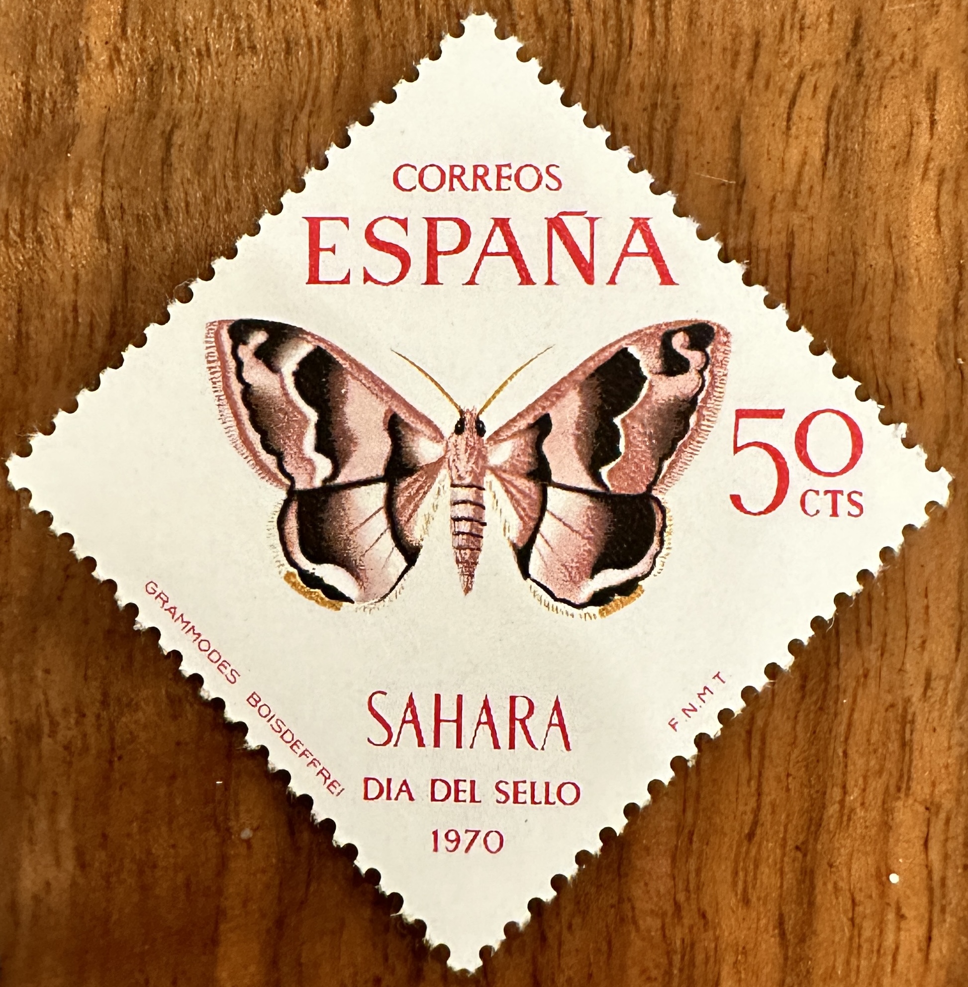 Sahara 9