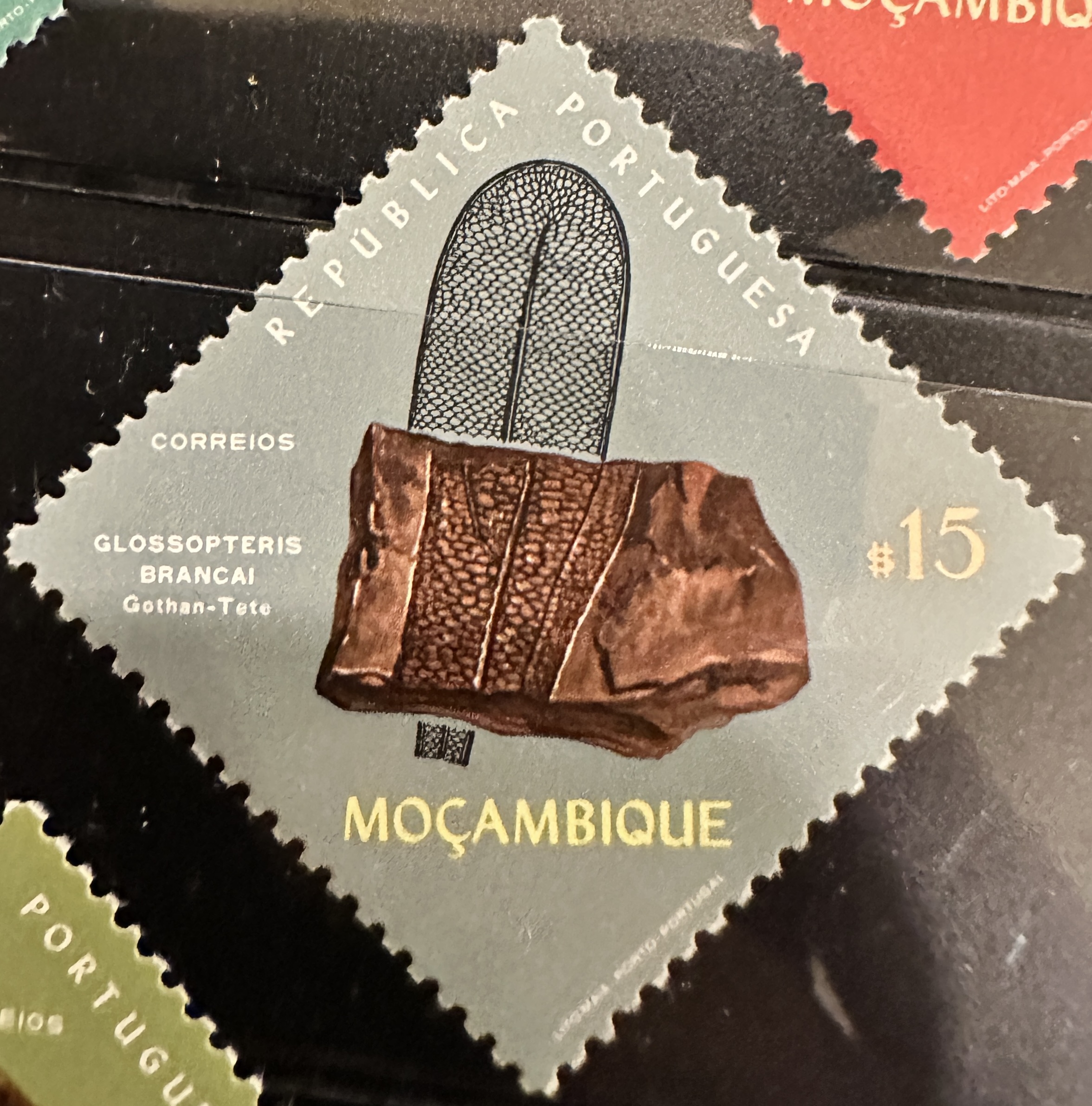 Mocambique Diamond 4