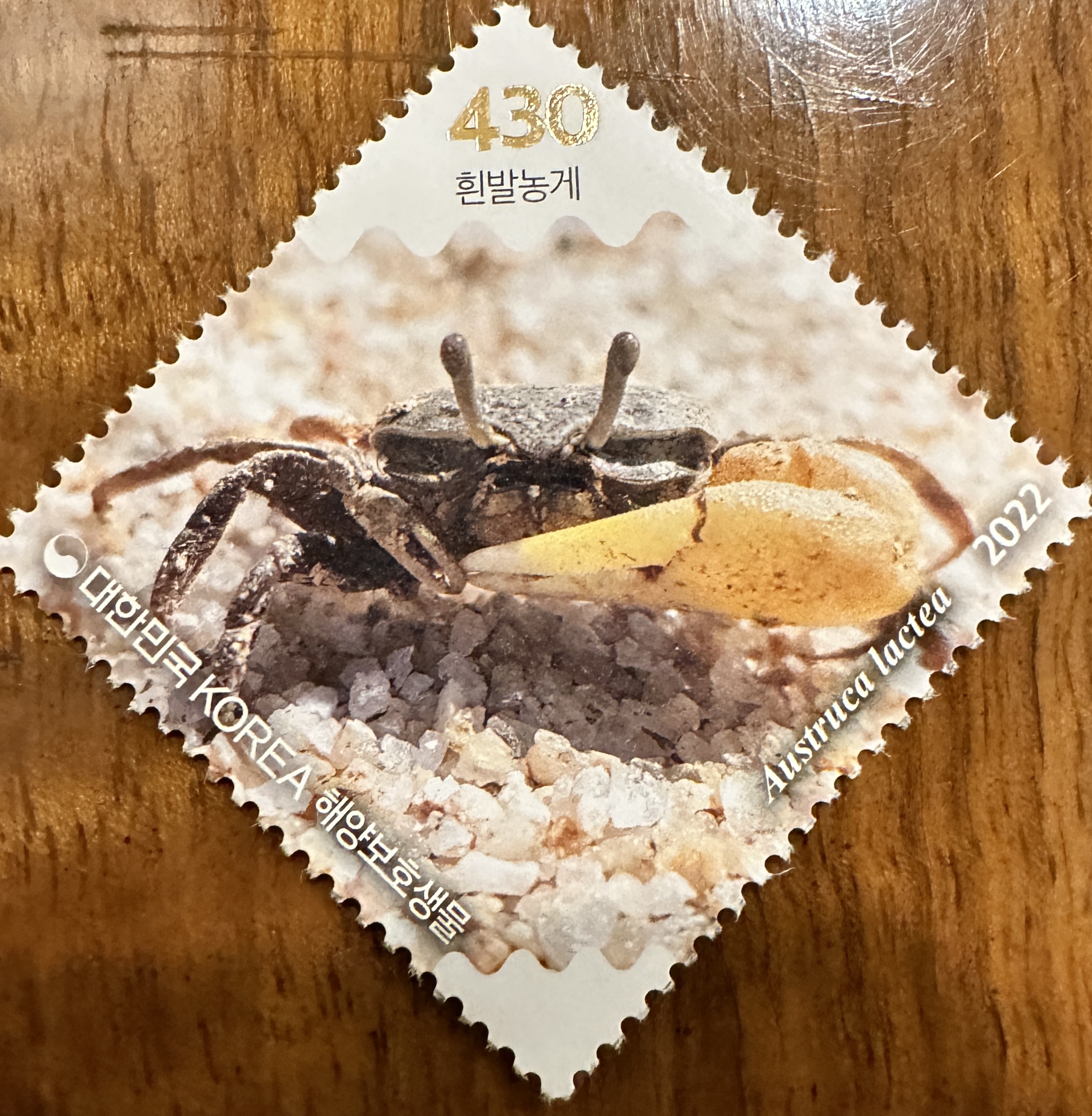 Korea Crab 2