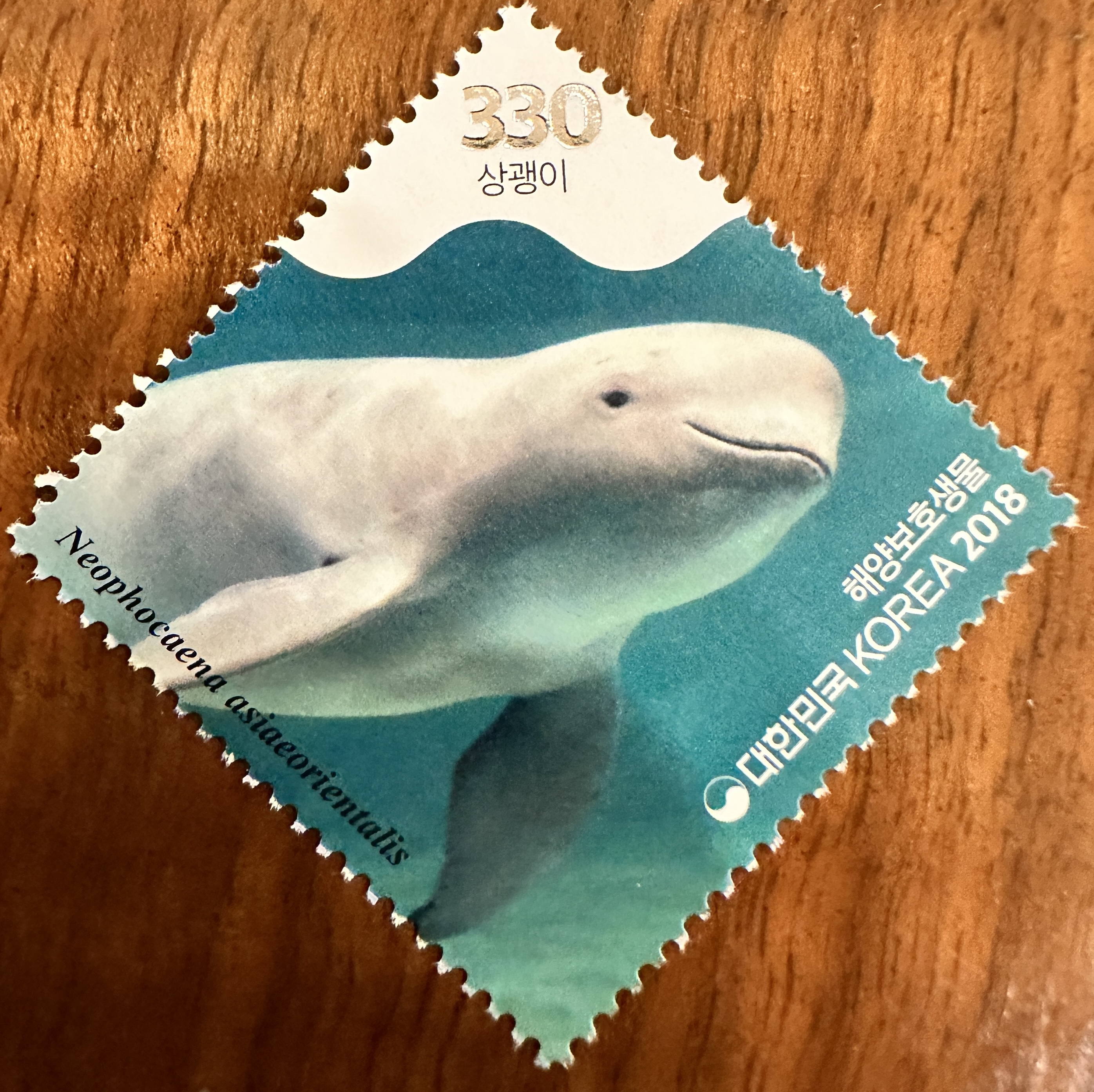 Korea Dolphin 1