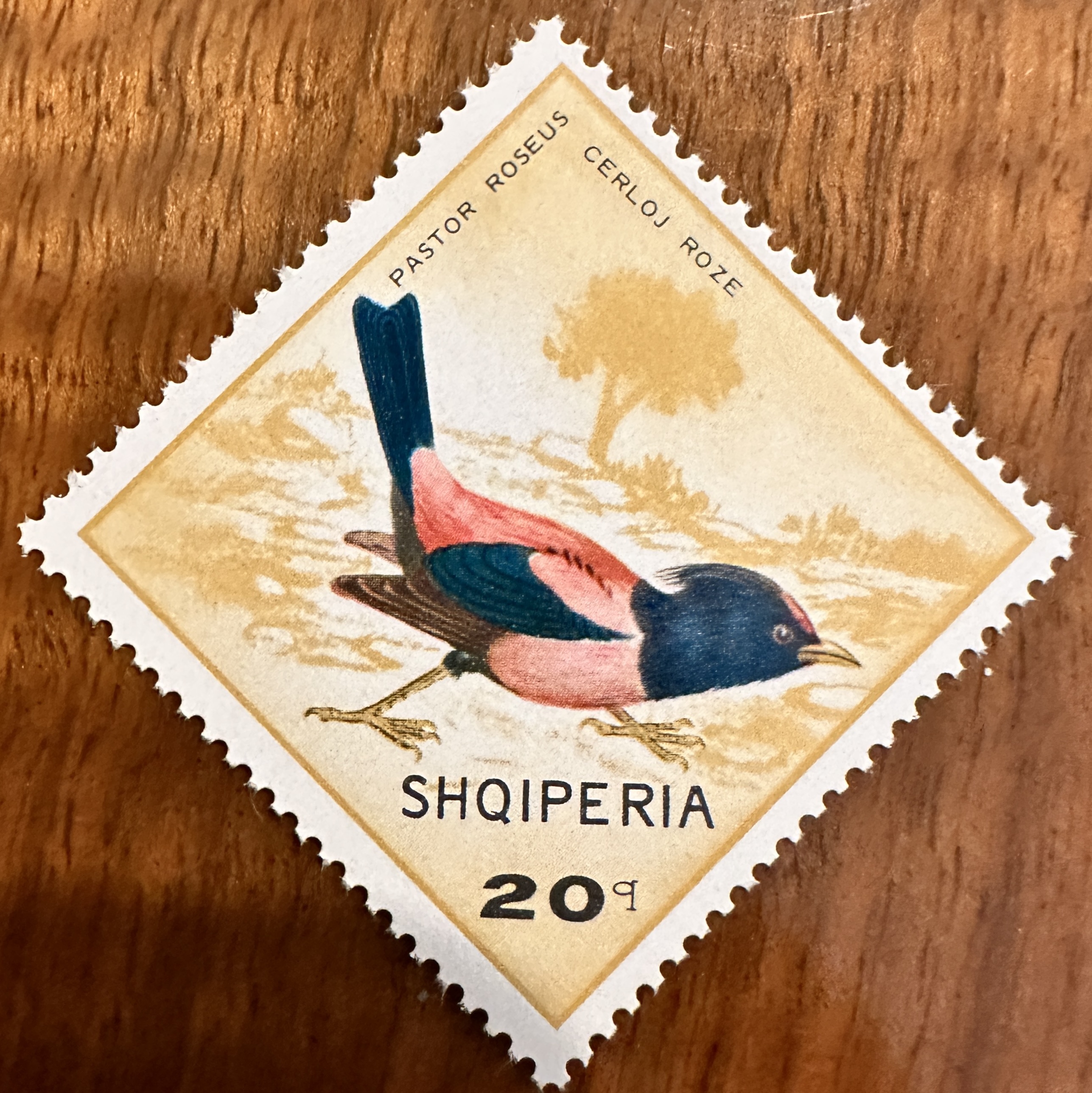 Albania 1968 Birds 1