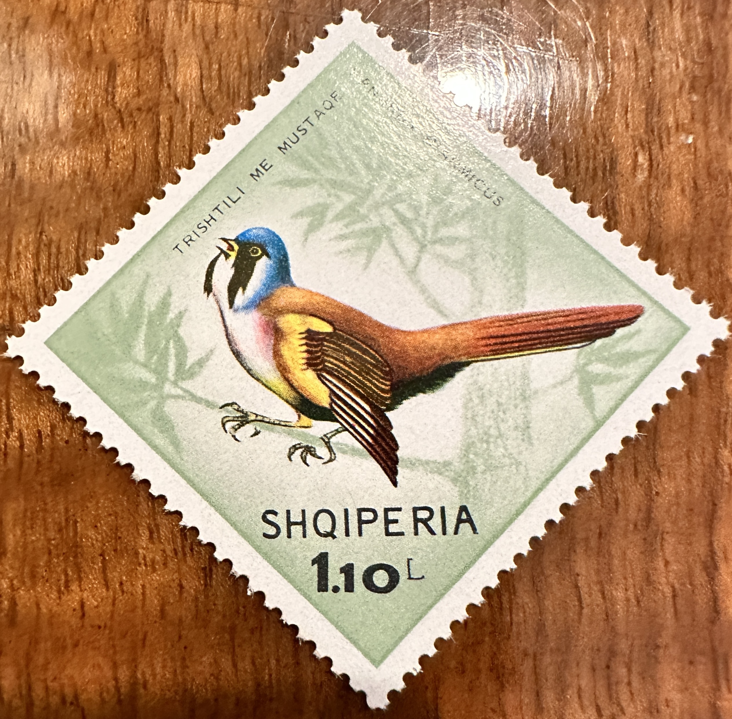 Albania 1968 Birds 5