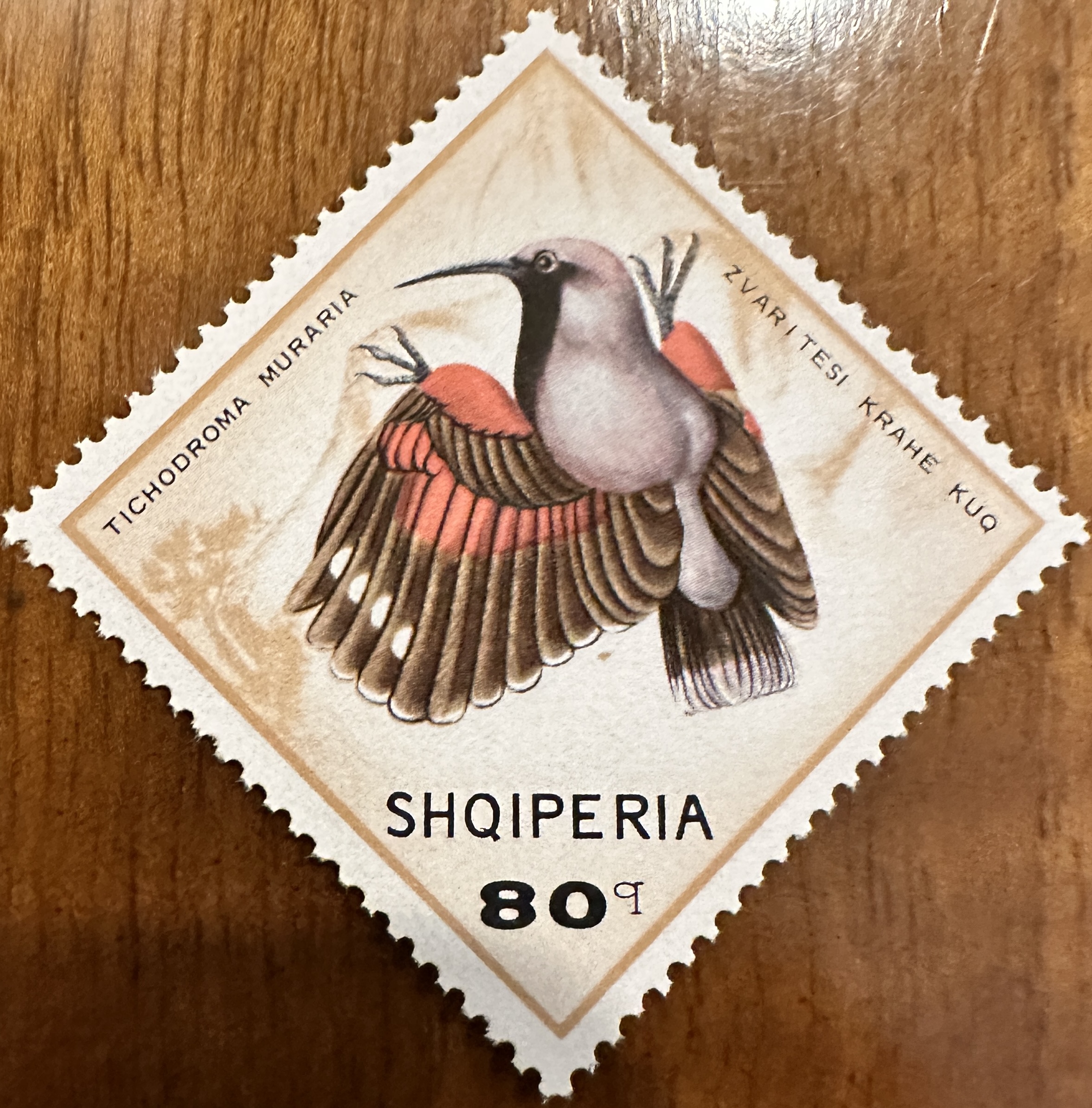 Albania 1968 Birds 6