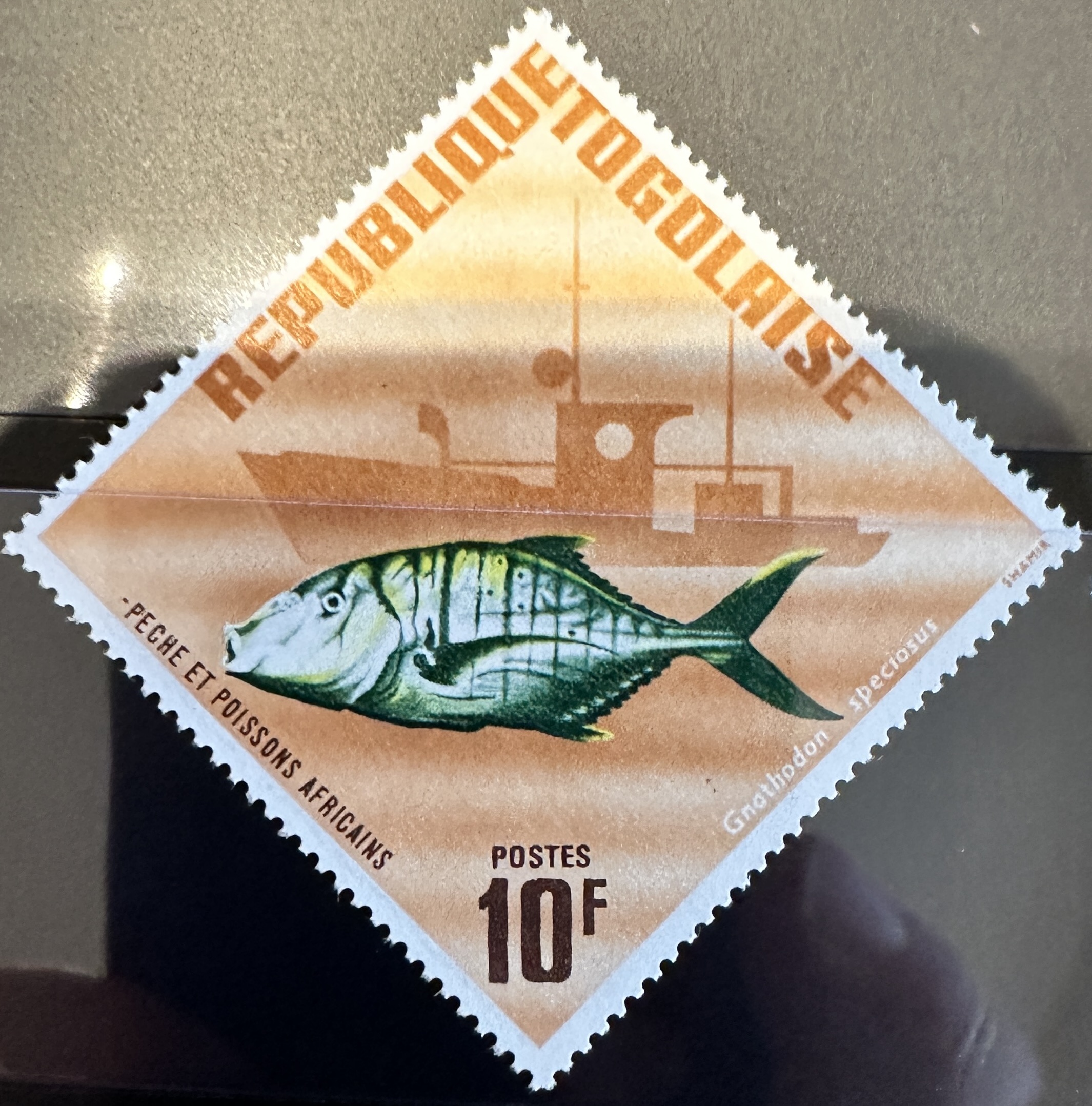 1967 Togo Fish 6