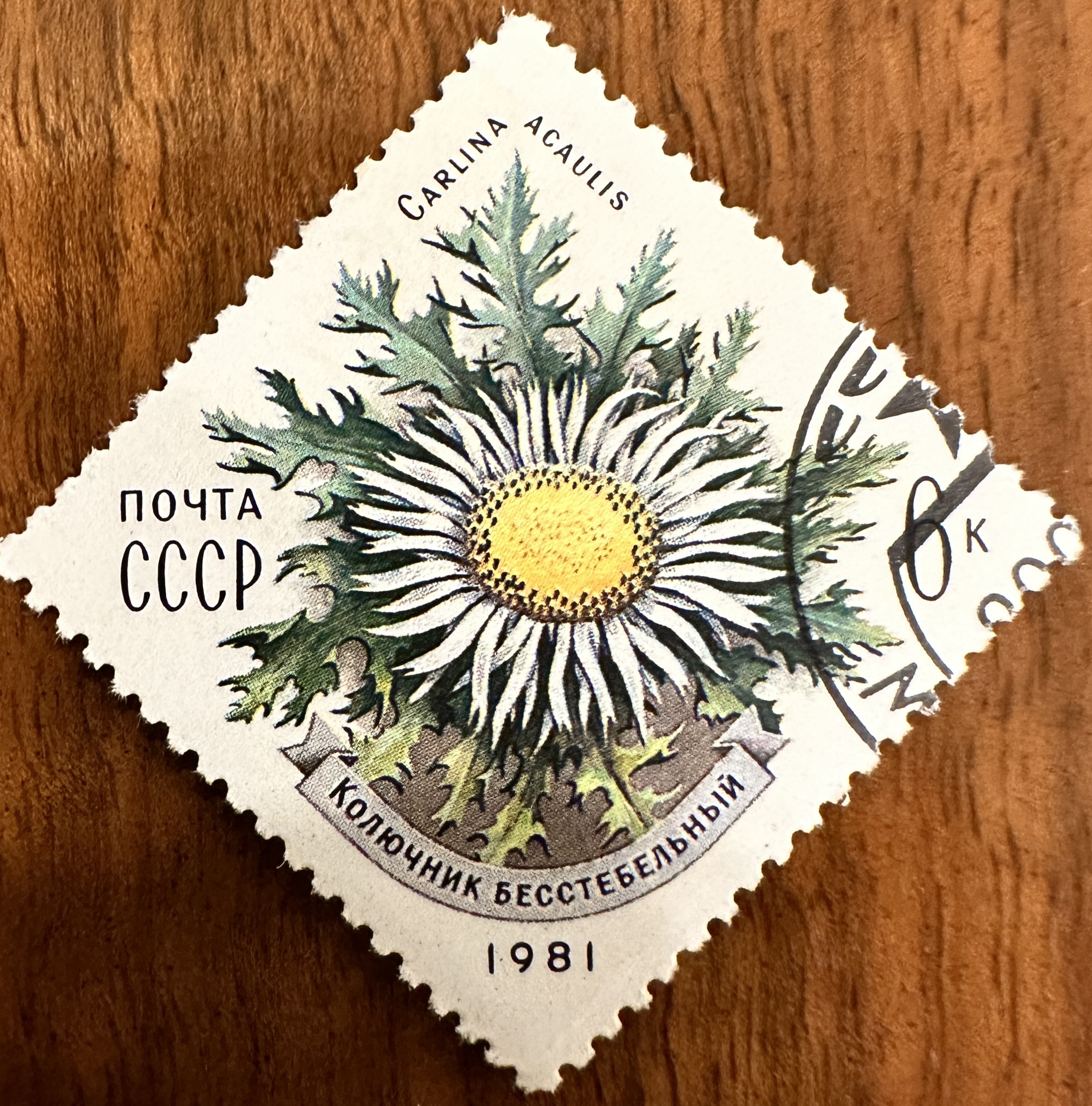 1981 Russian Flowers 5