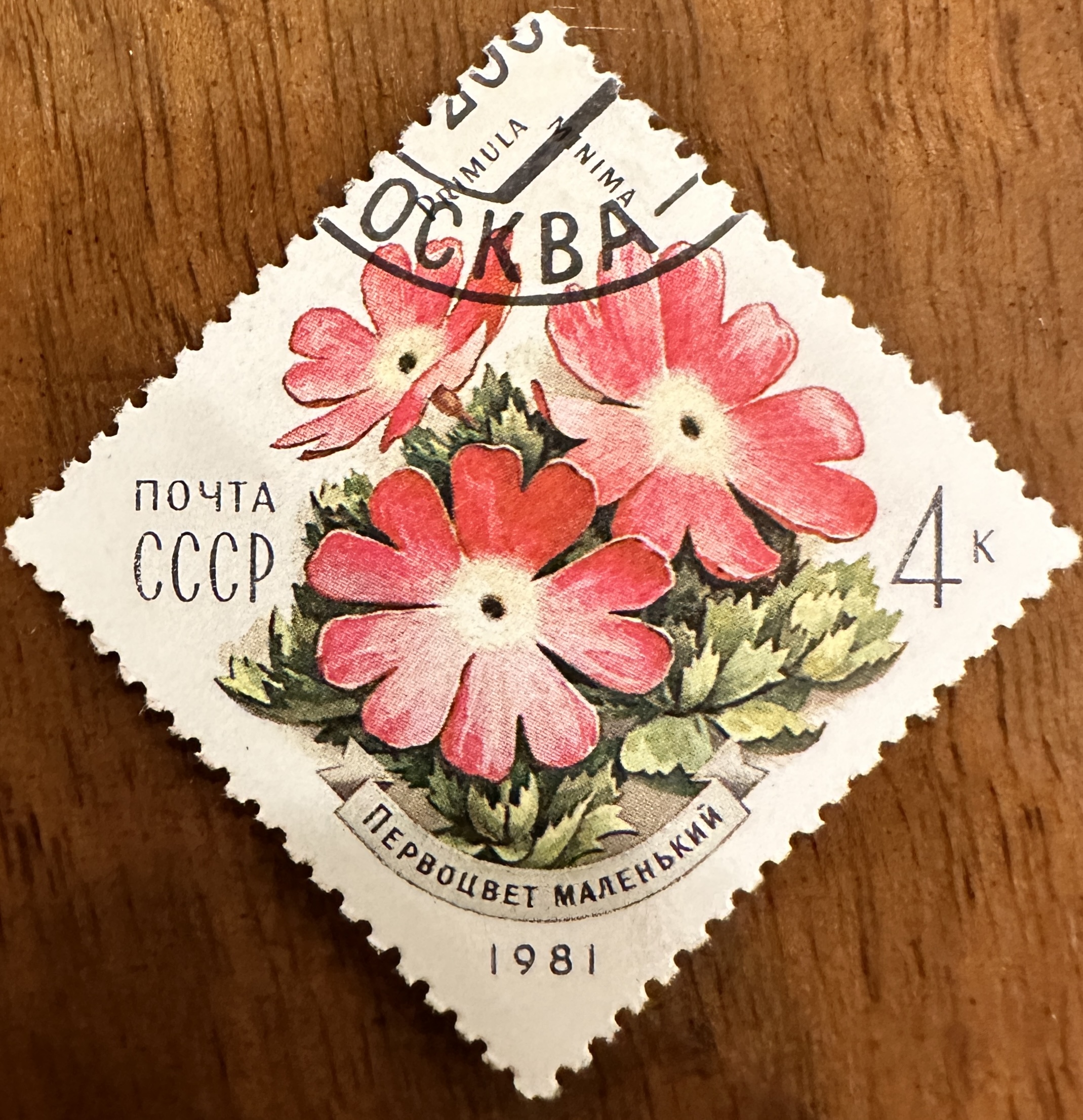 1981 Russian Flowers 4