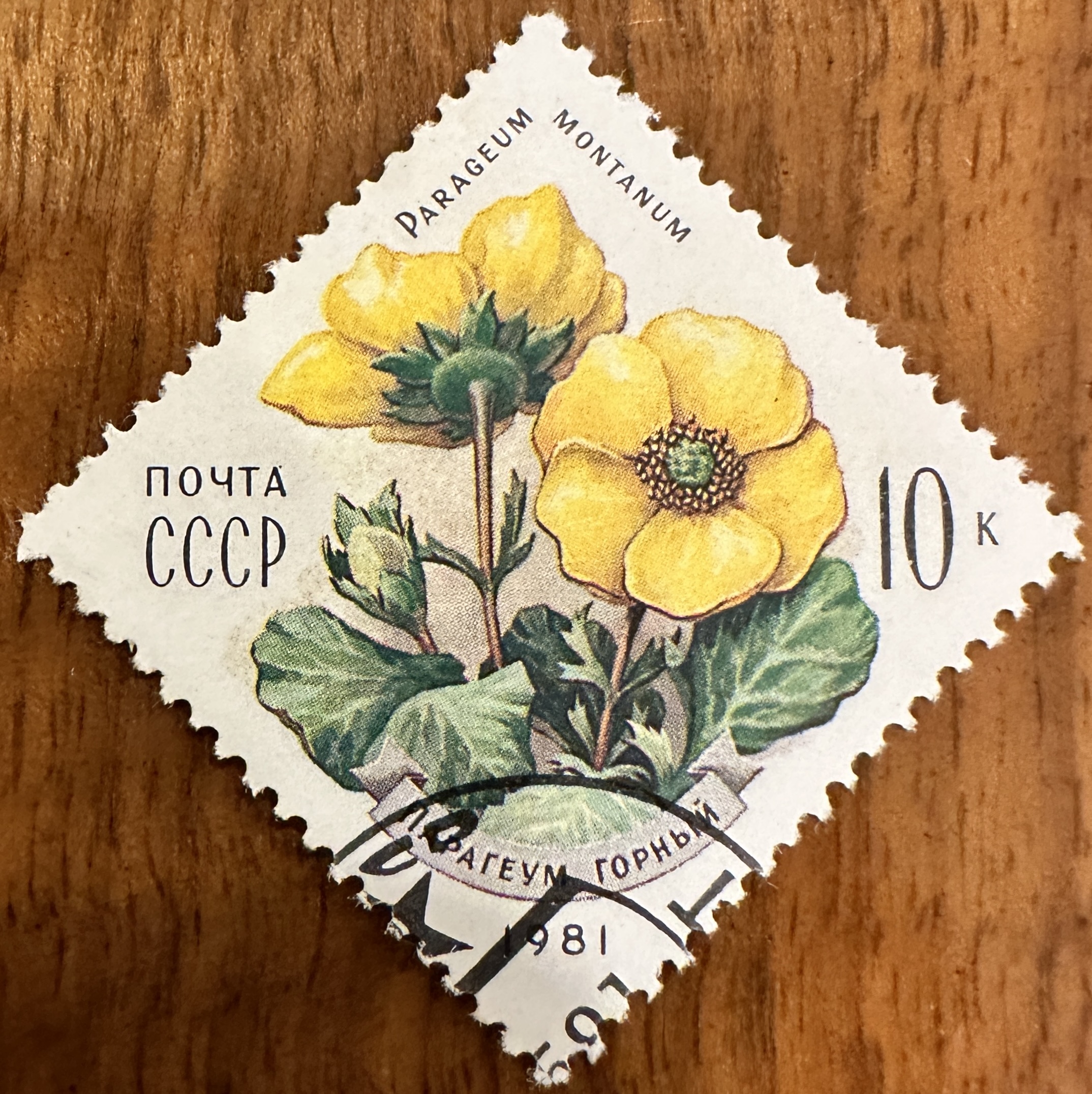 1981 Russian Flowers 3