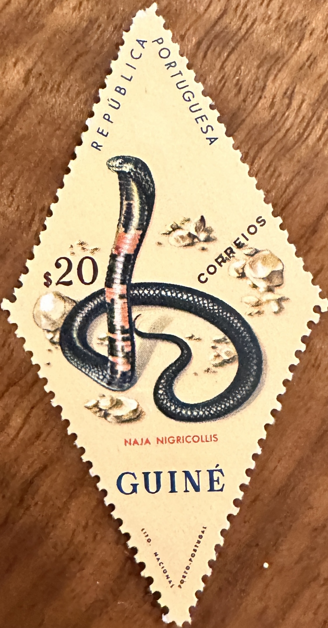 1963 Guinea Snakes 3