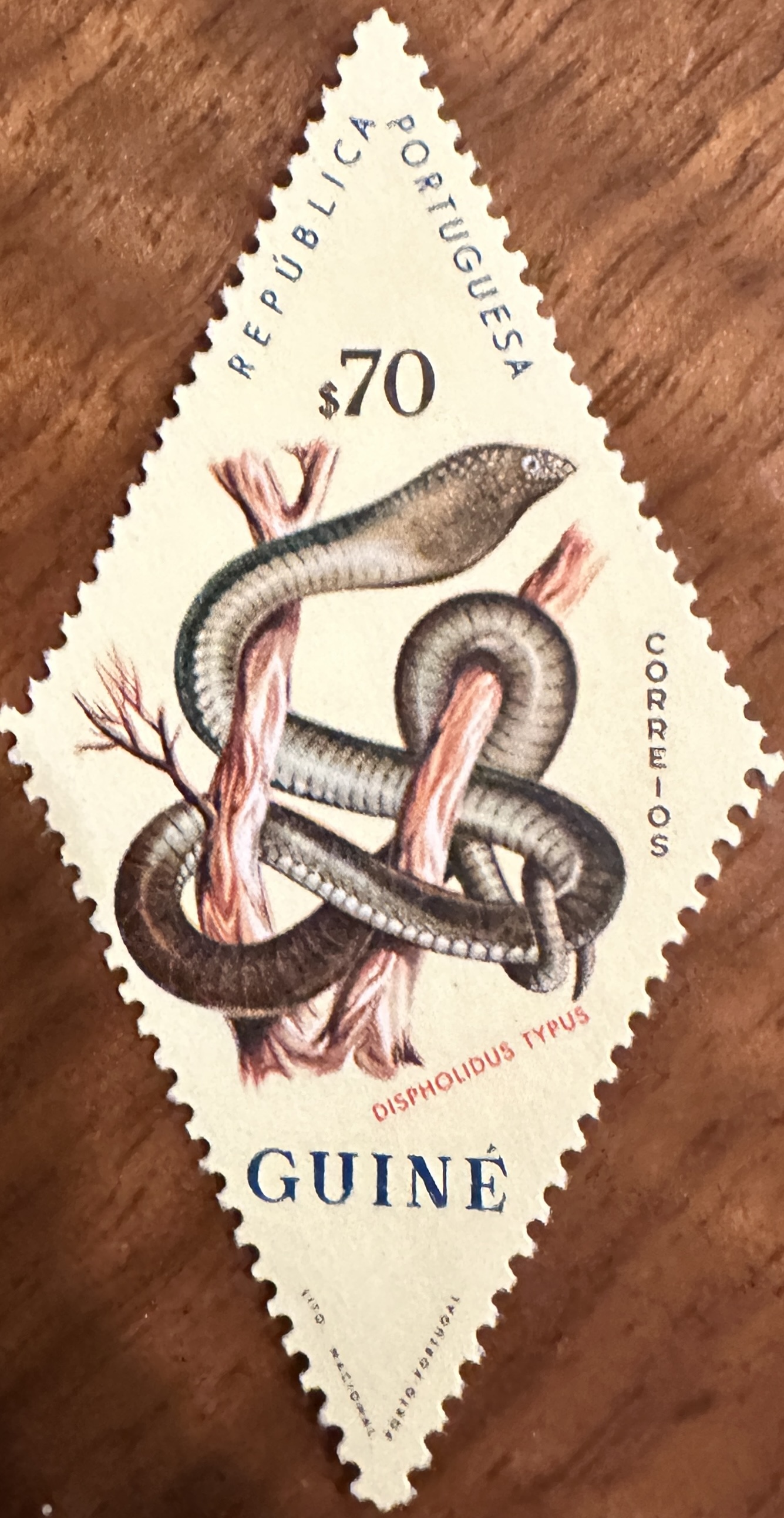 1963 Guinea Snakes 2