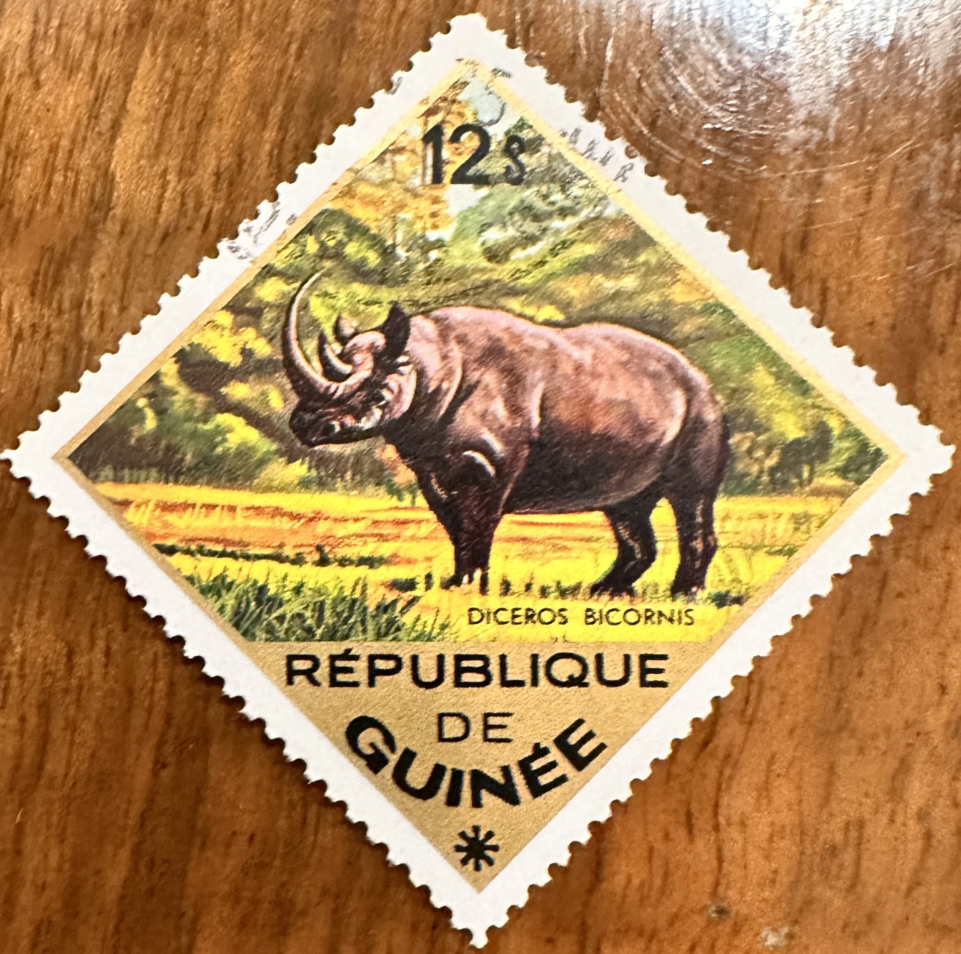 Guinea Wildlife 3