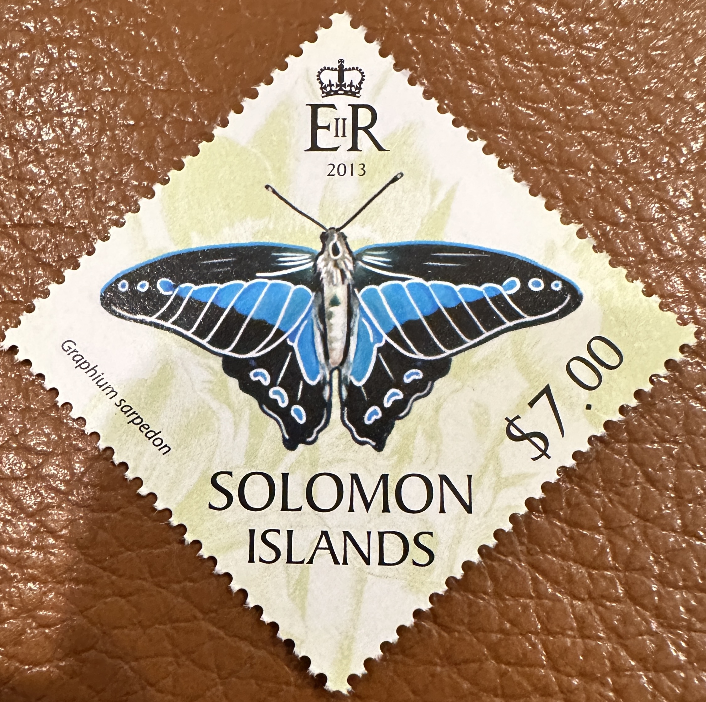 Solomon Islands Butterfly 2