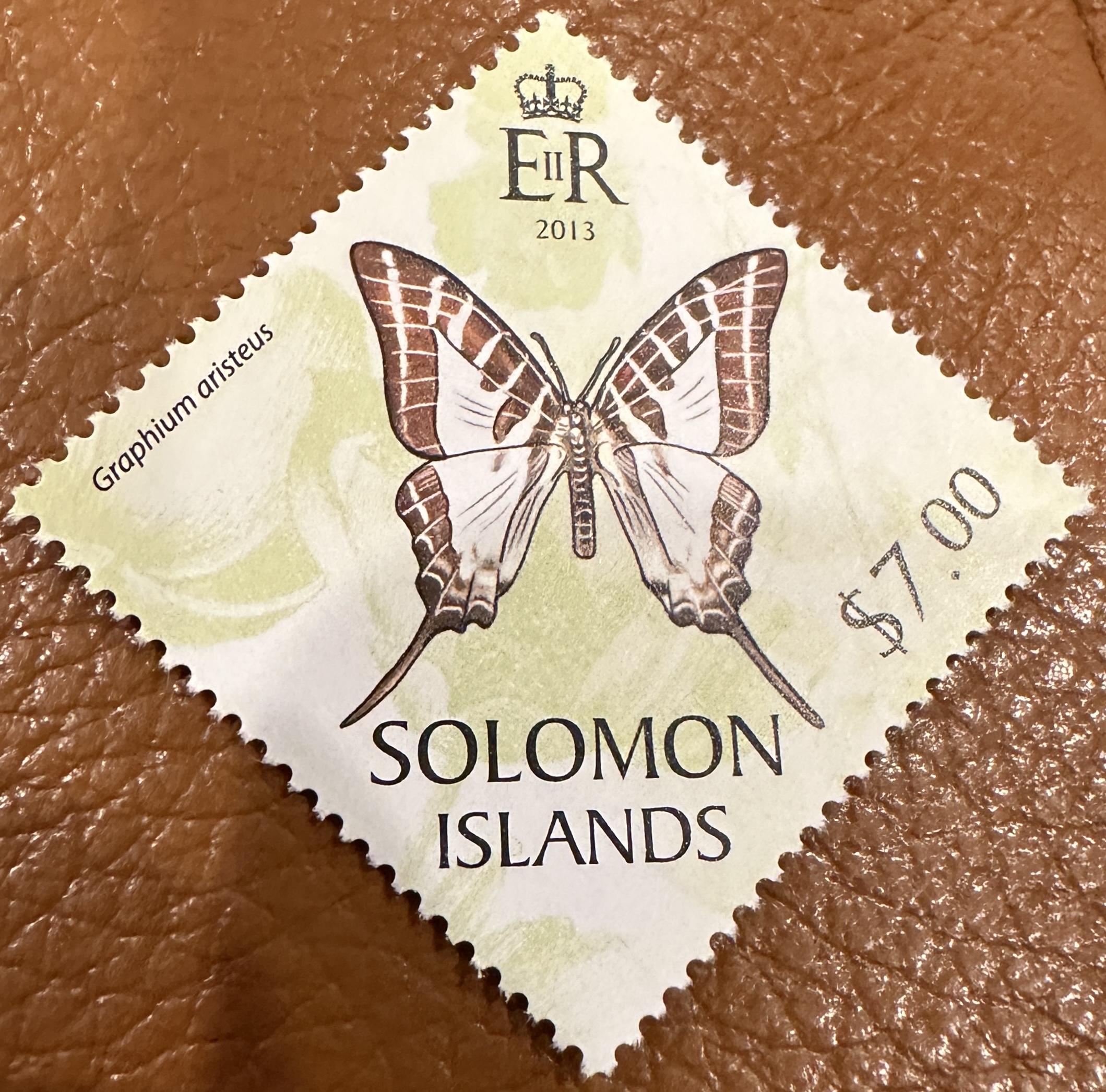 Solomon Islands Butterfly 1