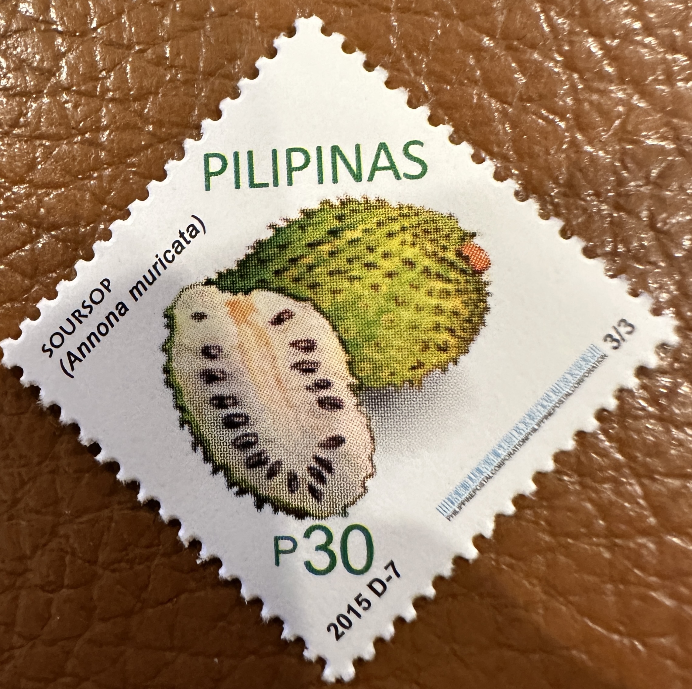 Pilipinas Fruit 7