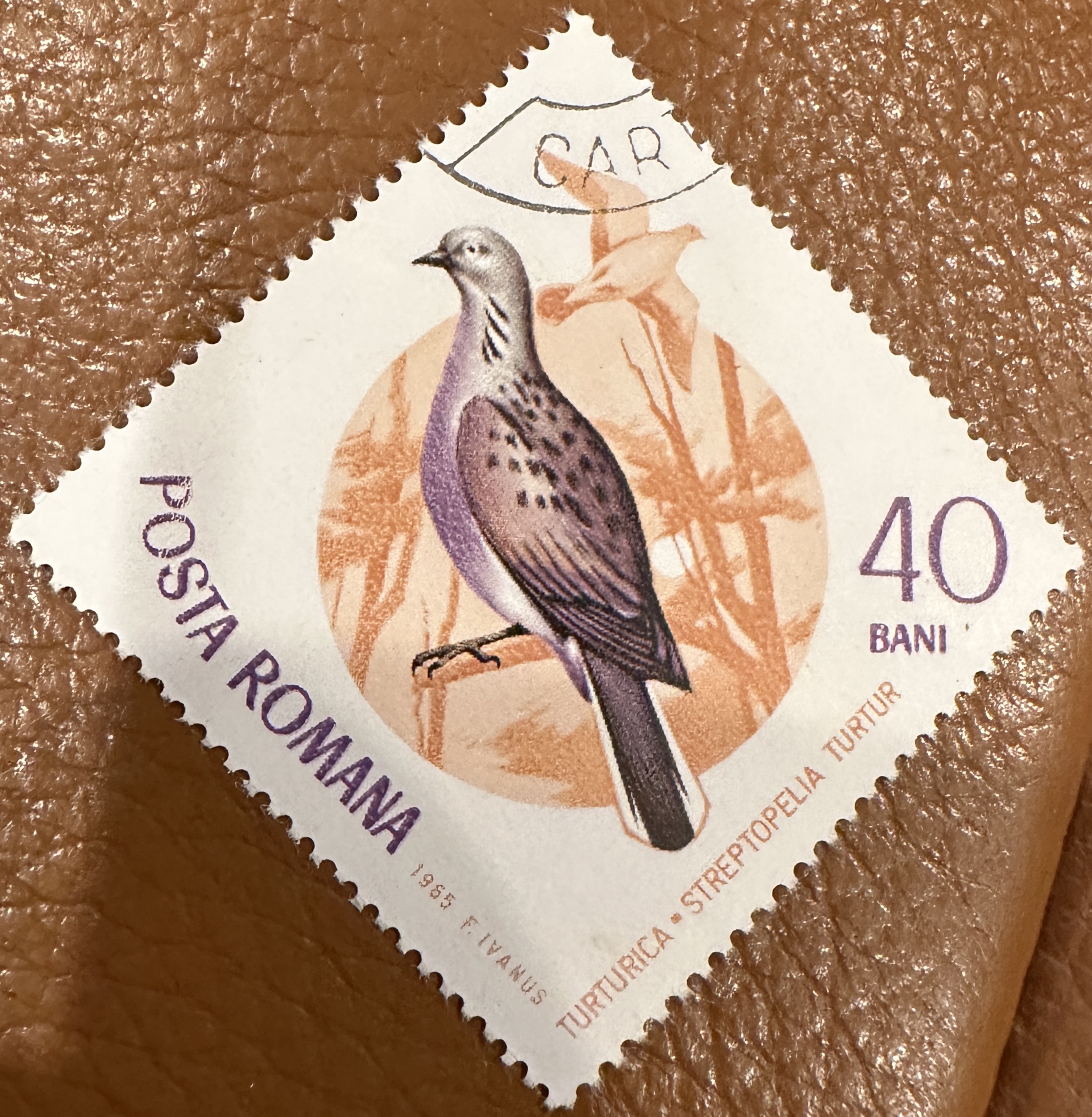 Romania Diamond Bird 3