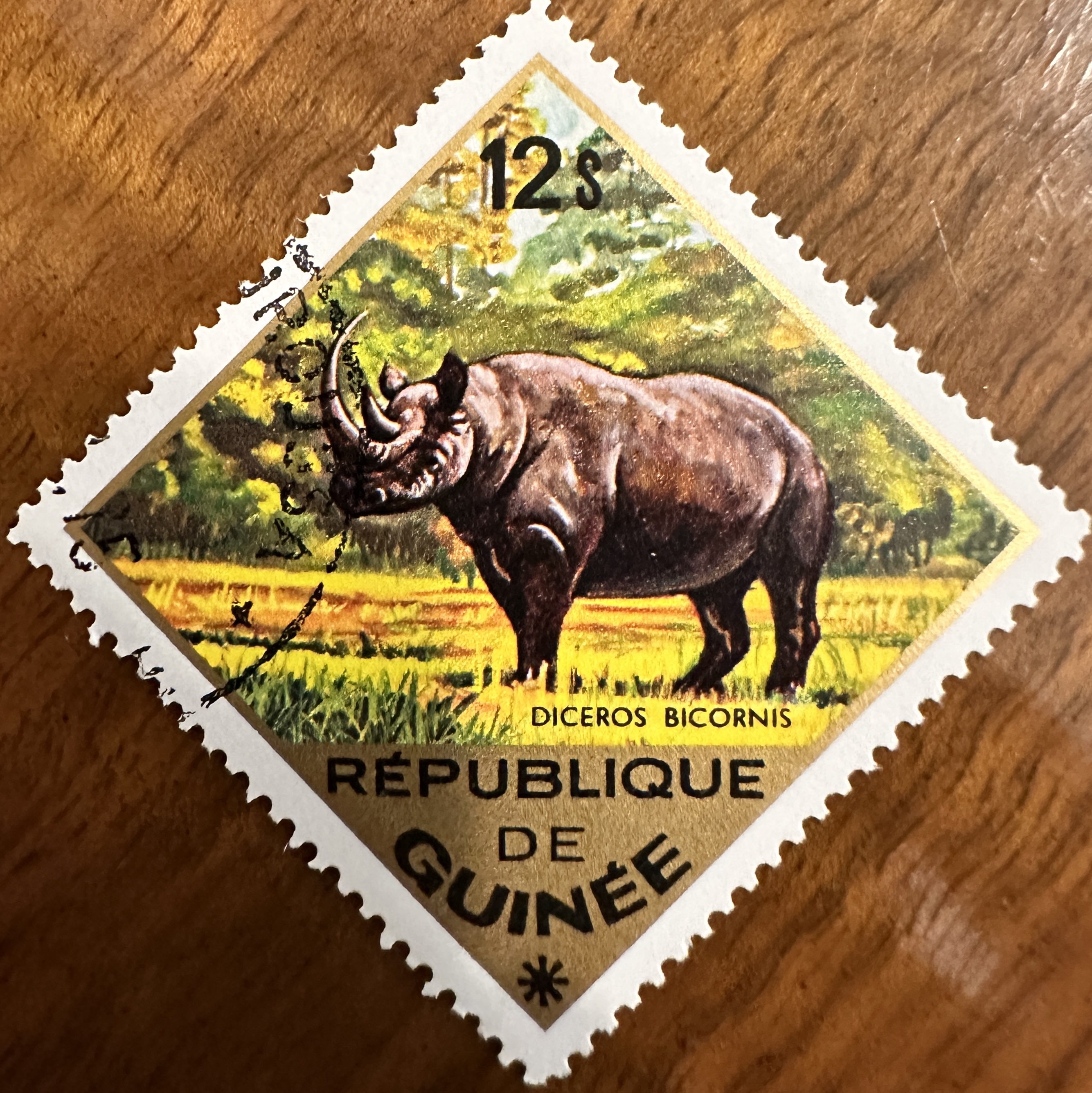 1975 Guinea Rhino