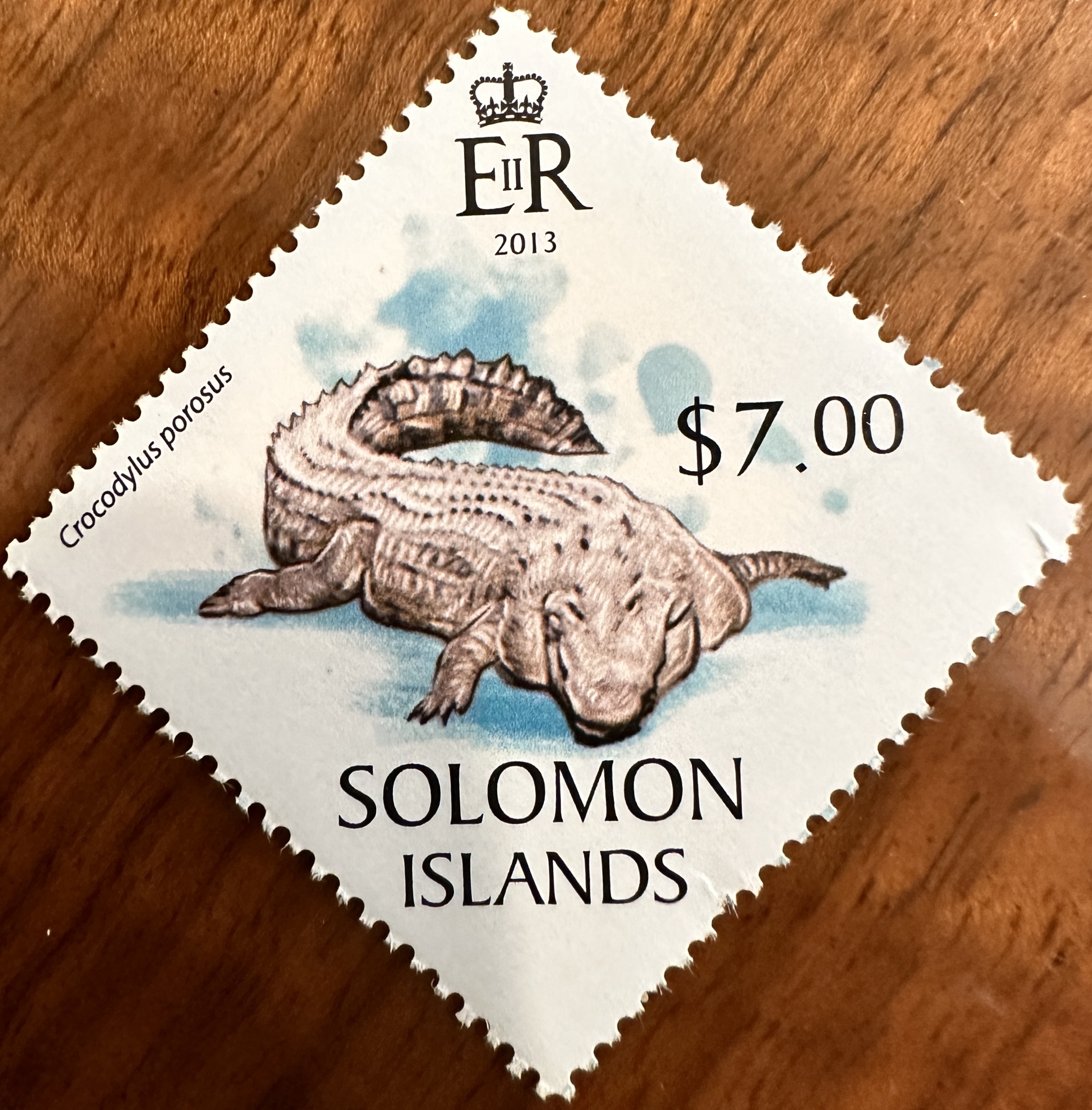 Solomon Islands Croc 4