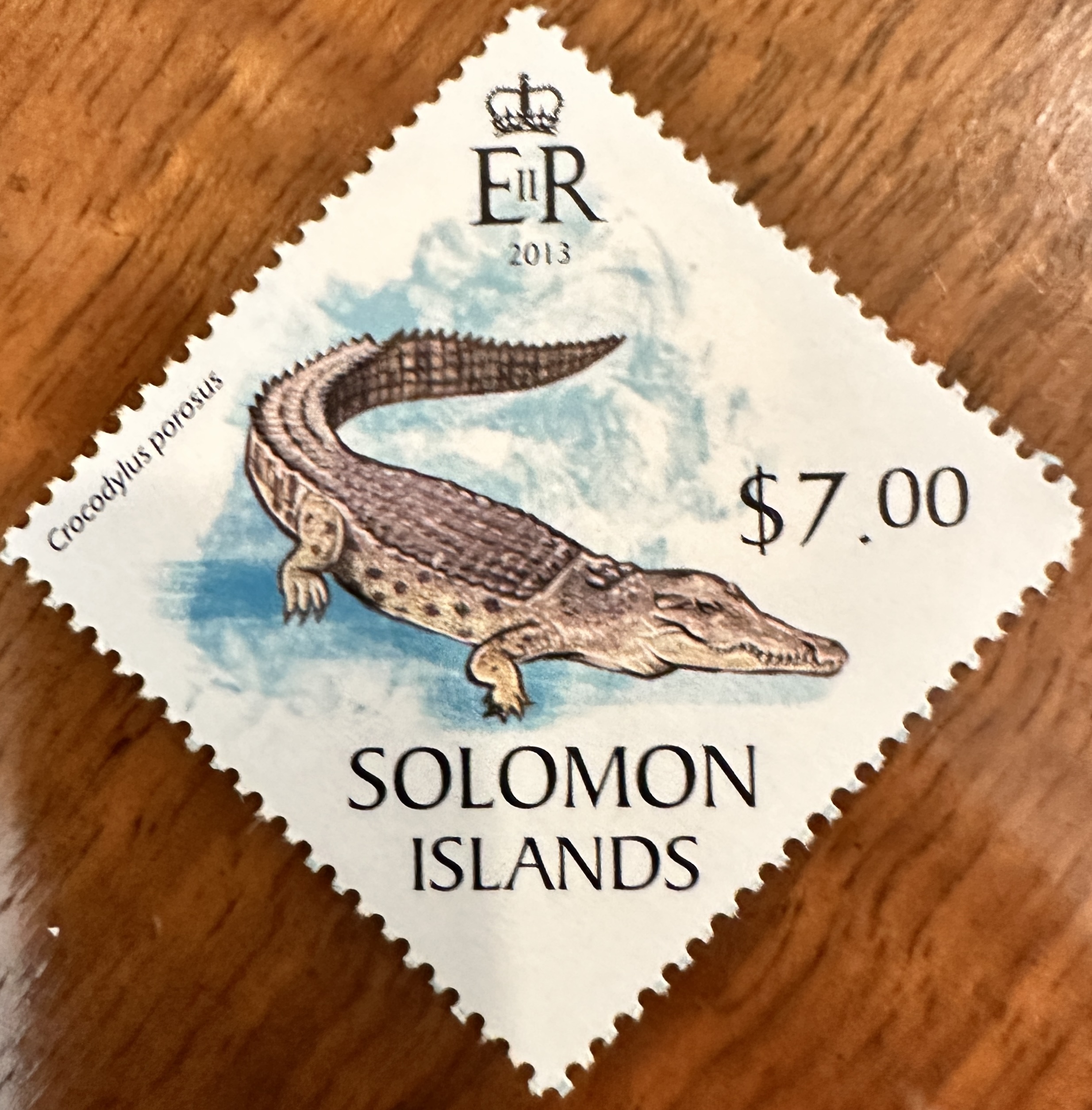 Solomon Islands Croc 3