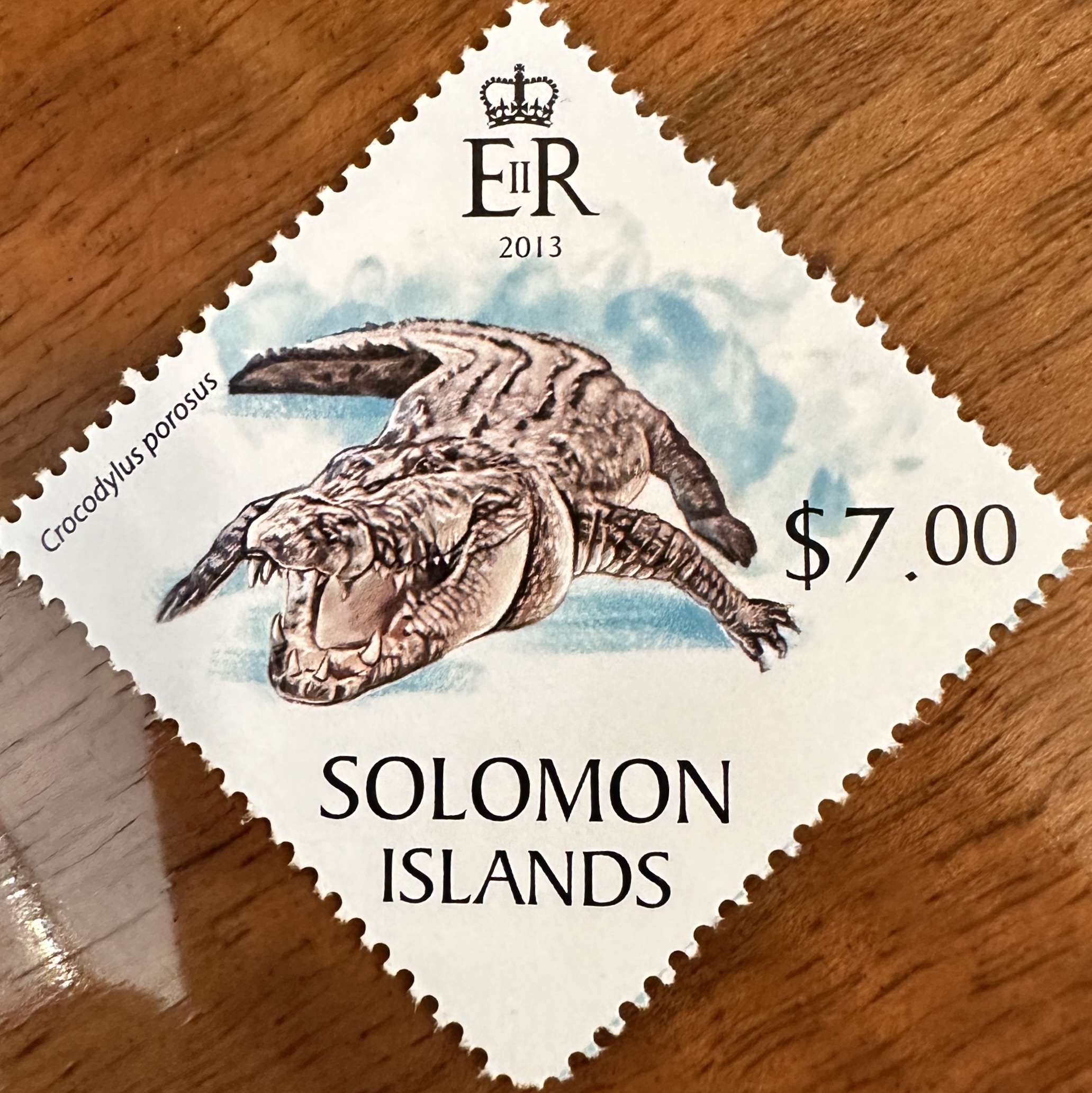 Solomon Islands Croc 2