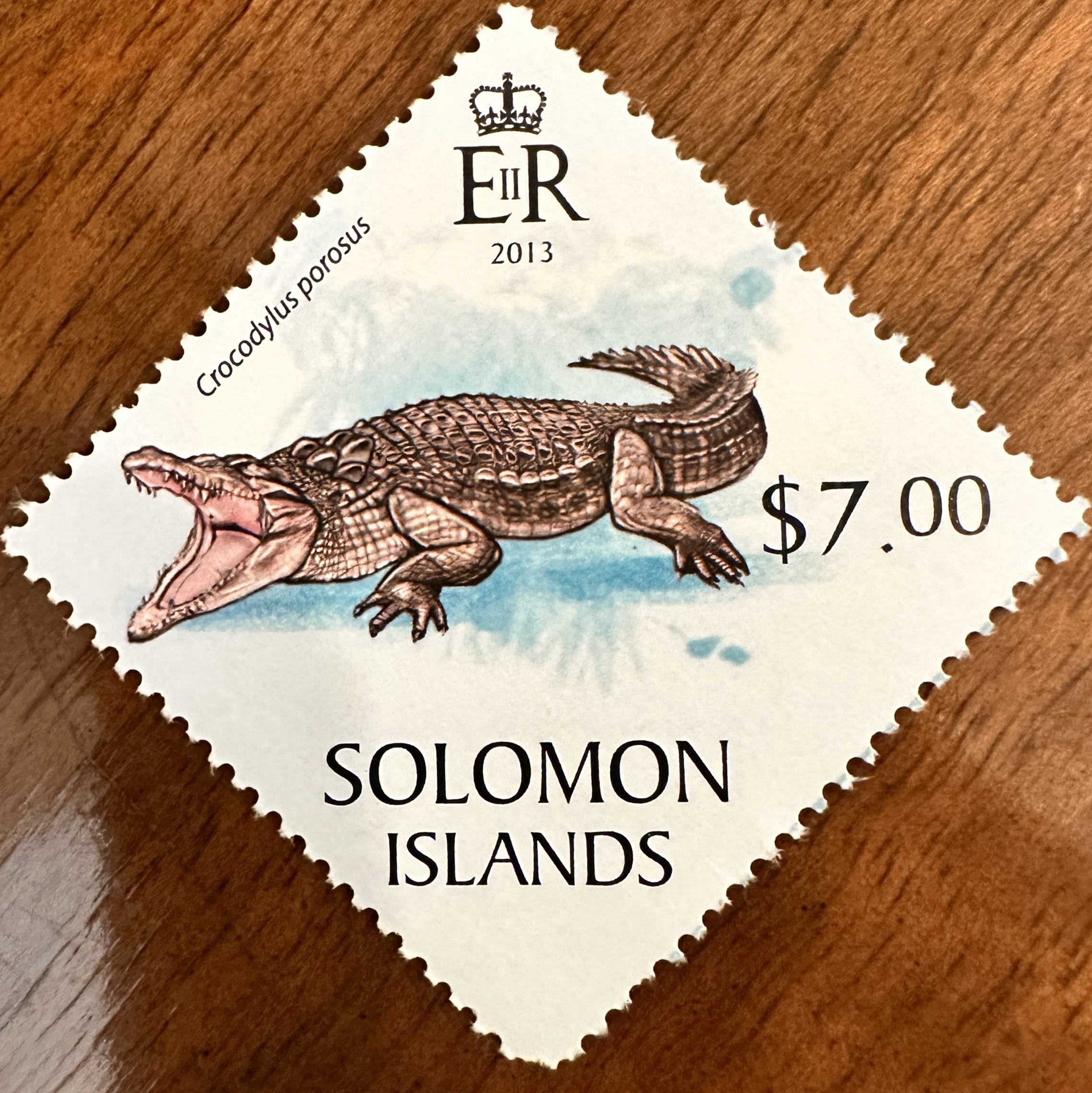 Solomon Islands Croc 1