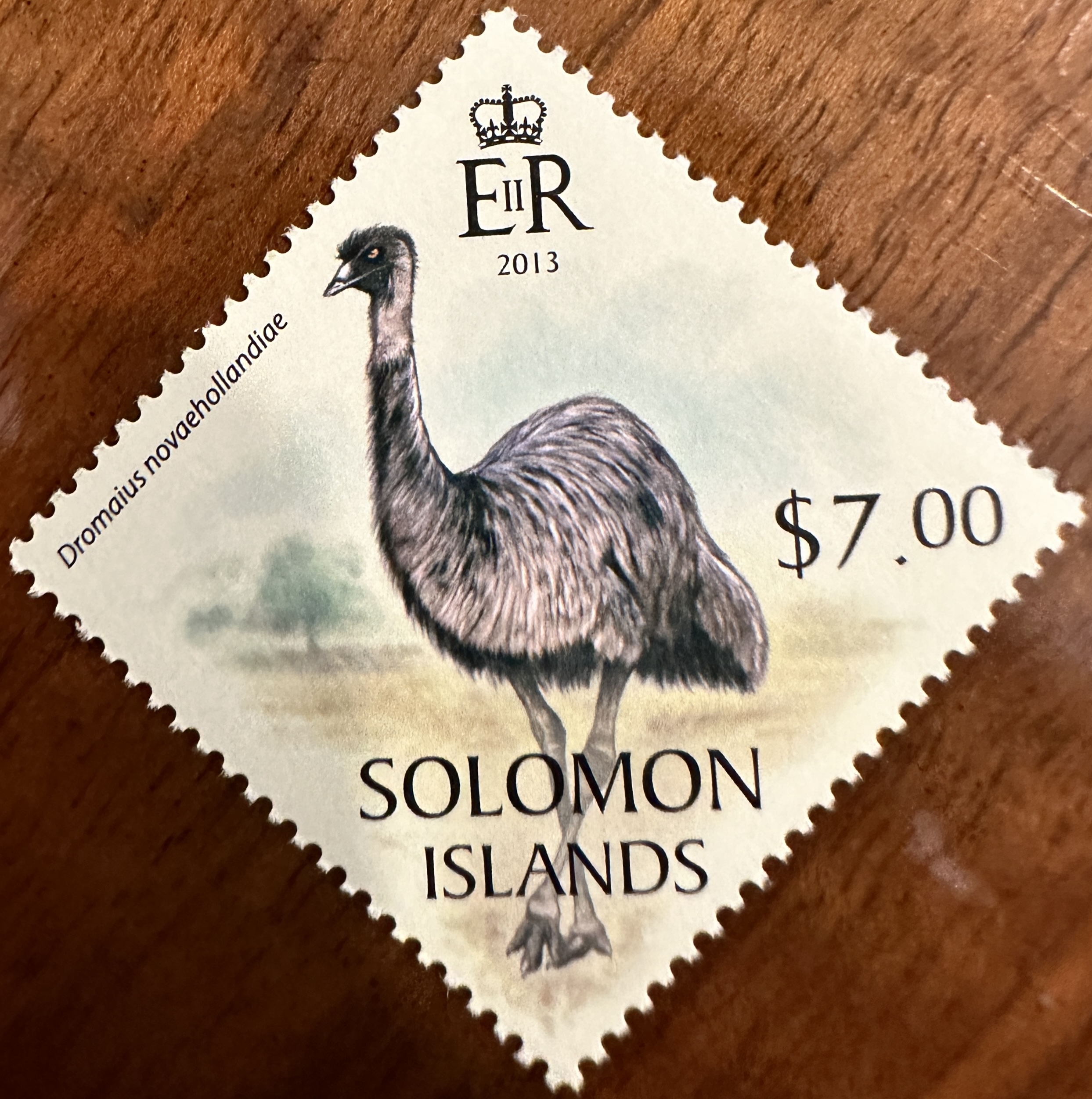 Solomon Islands Emu 3