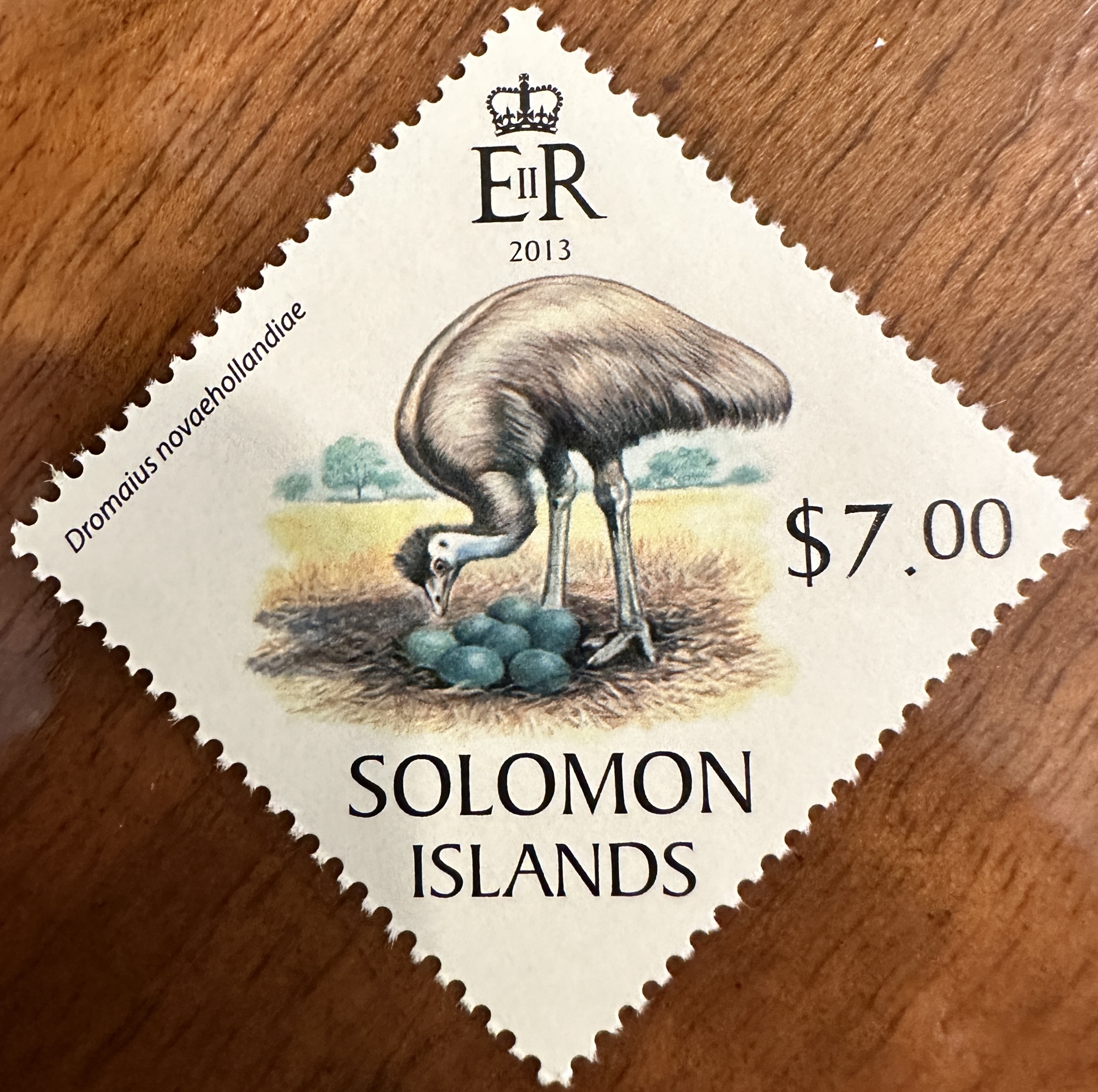 Solomon Islands Emu 1