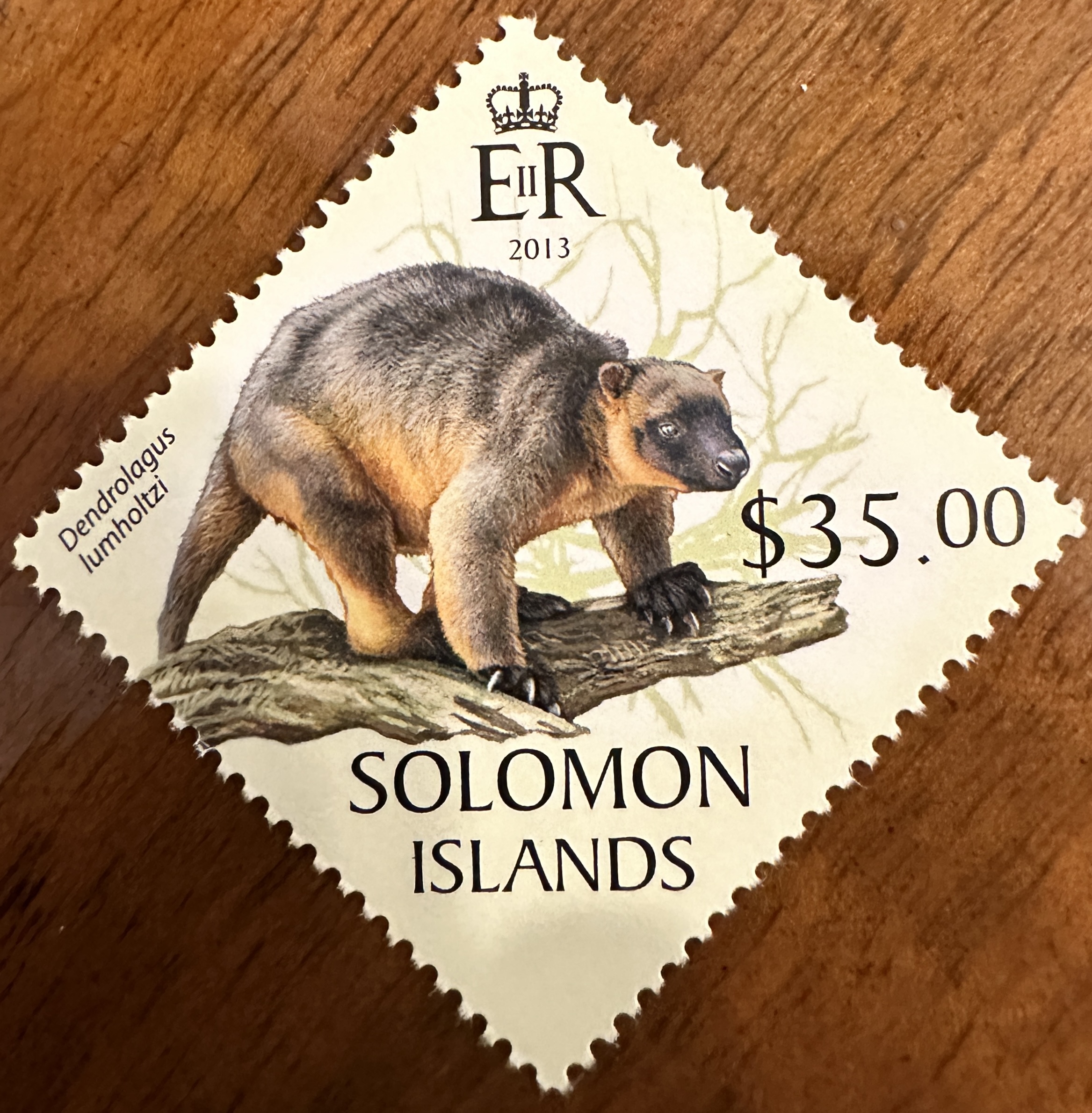 Solomon Islands Mammal