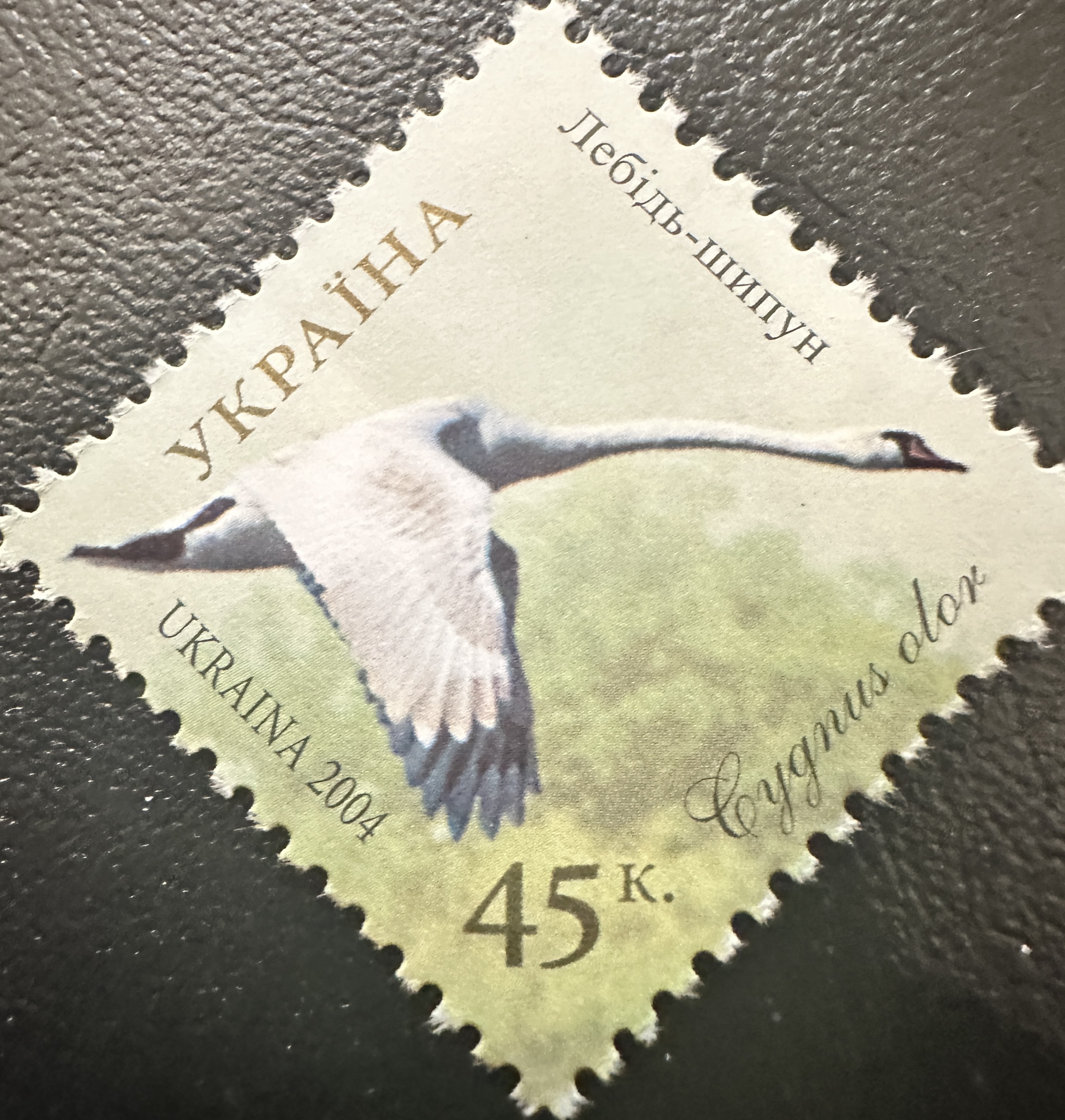 Ukraine Birds 2