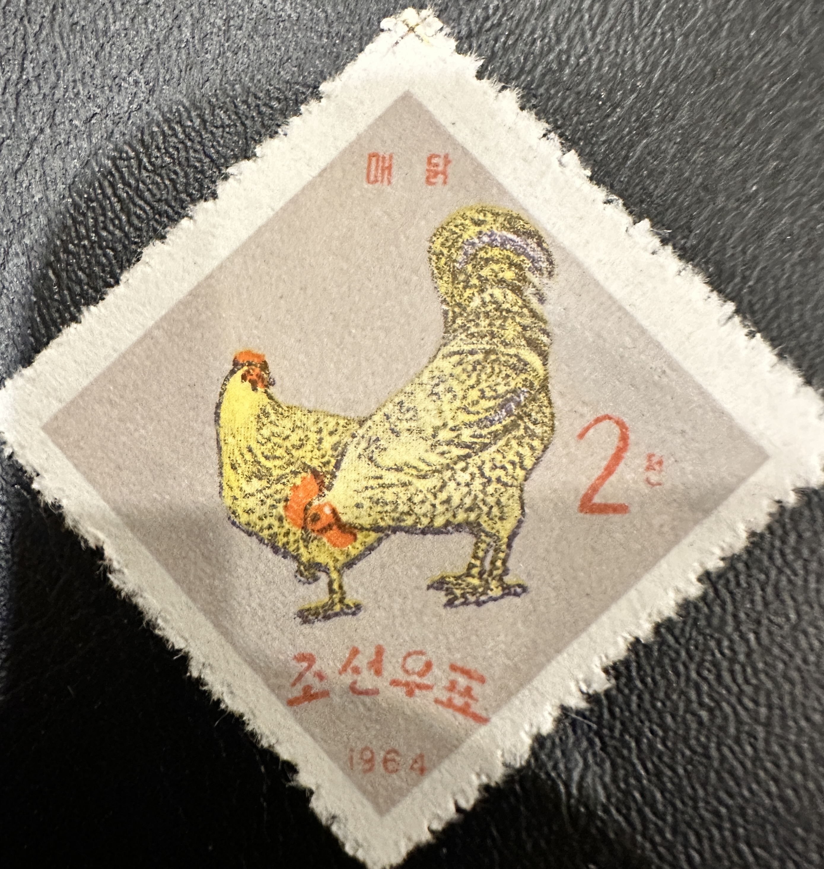 Korea Chickens 5